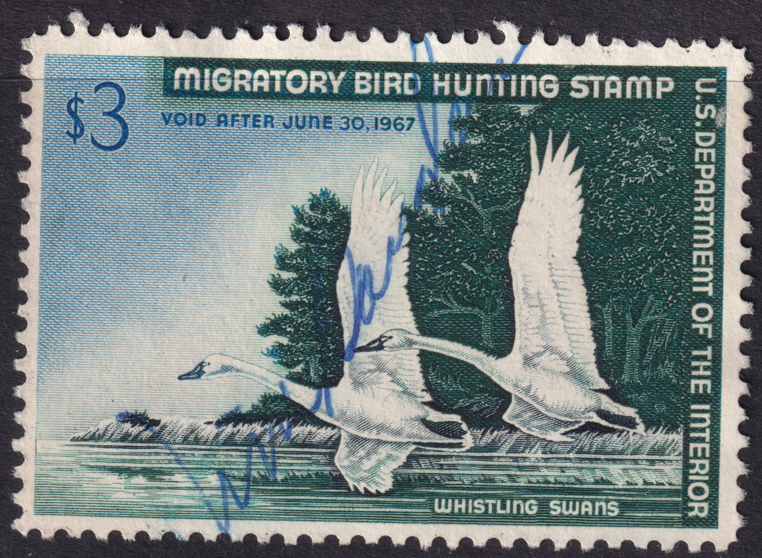 Stamp Picture