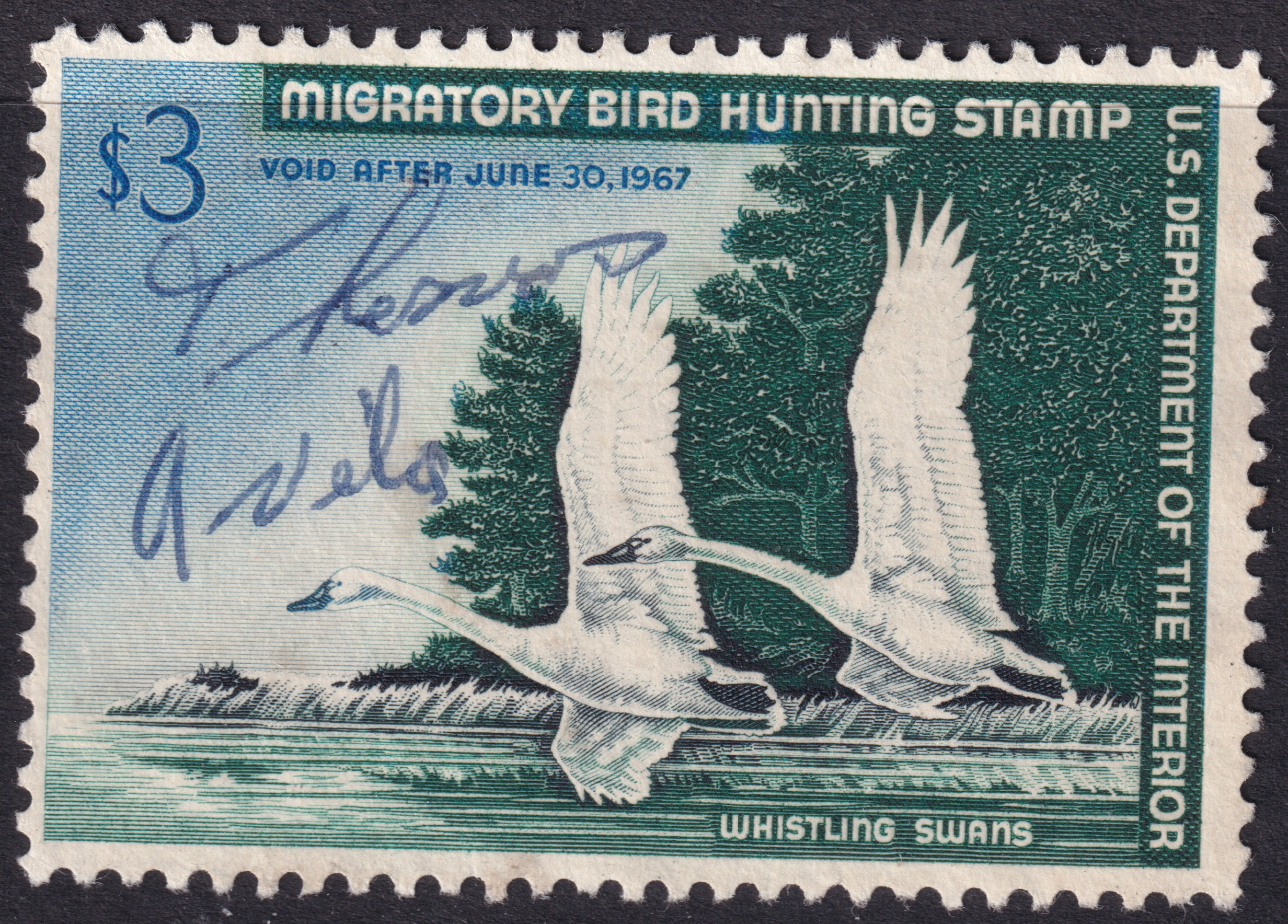 Stamp Picture