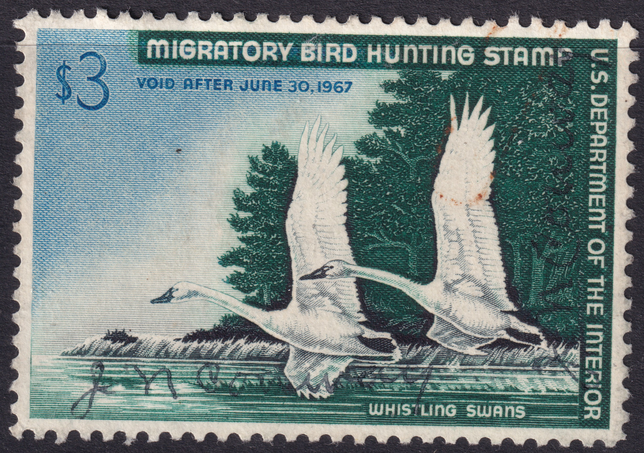 Stamp Picture