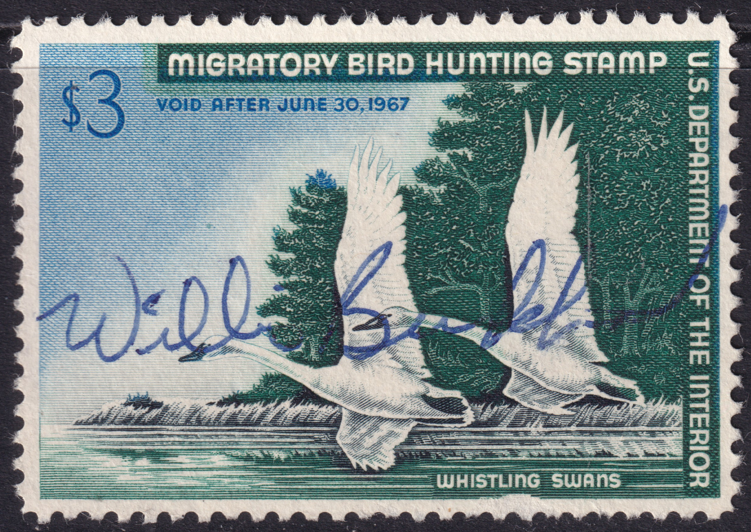 Stamp Picture
