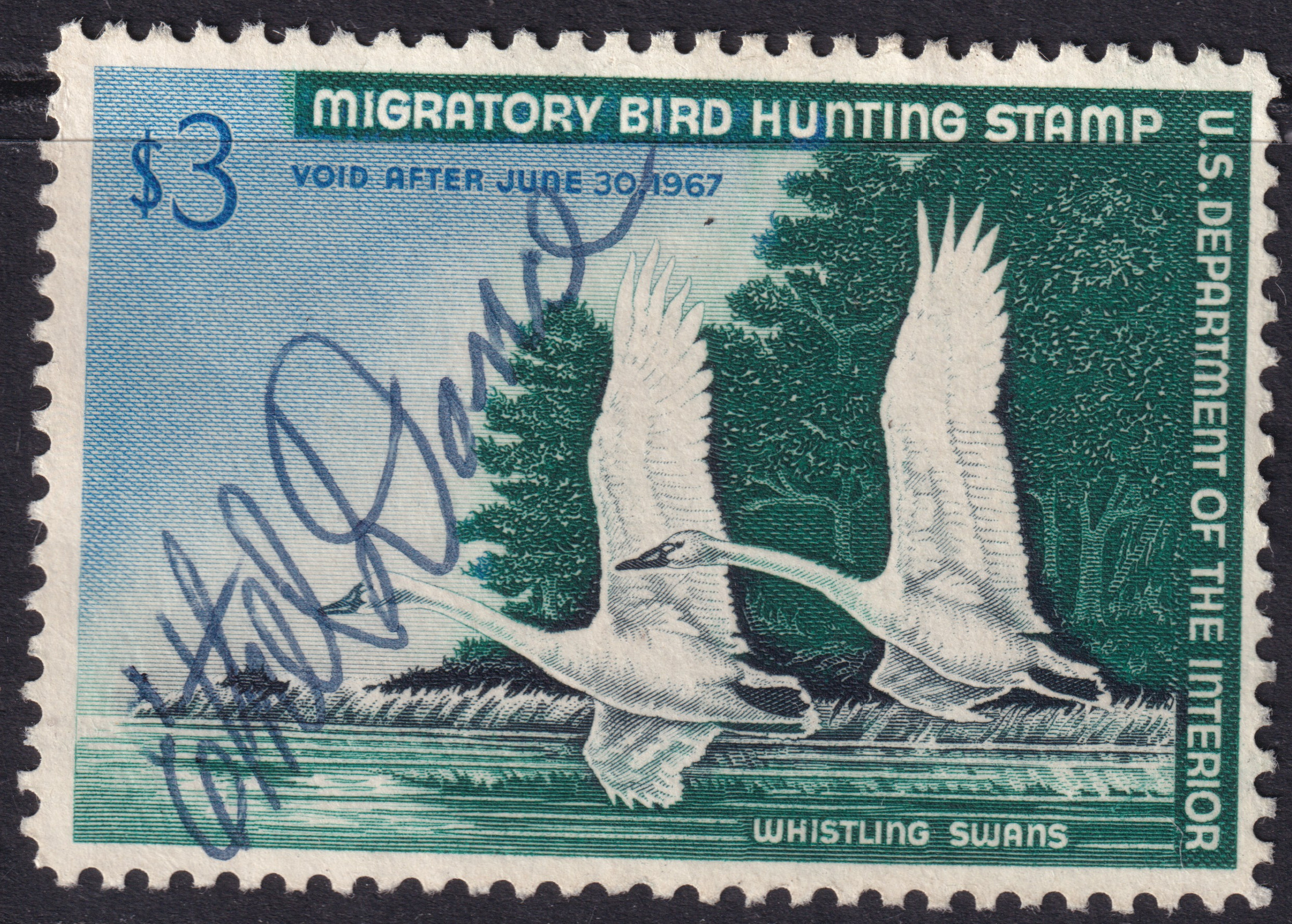 Stamp Picture