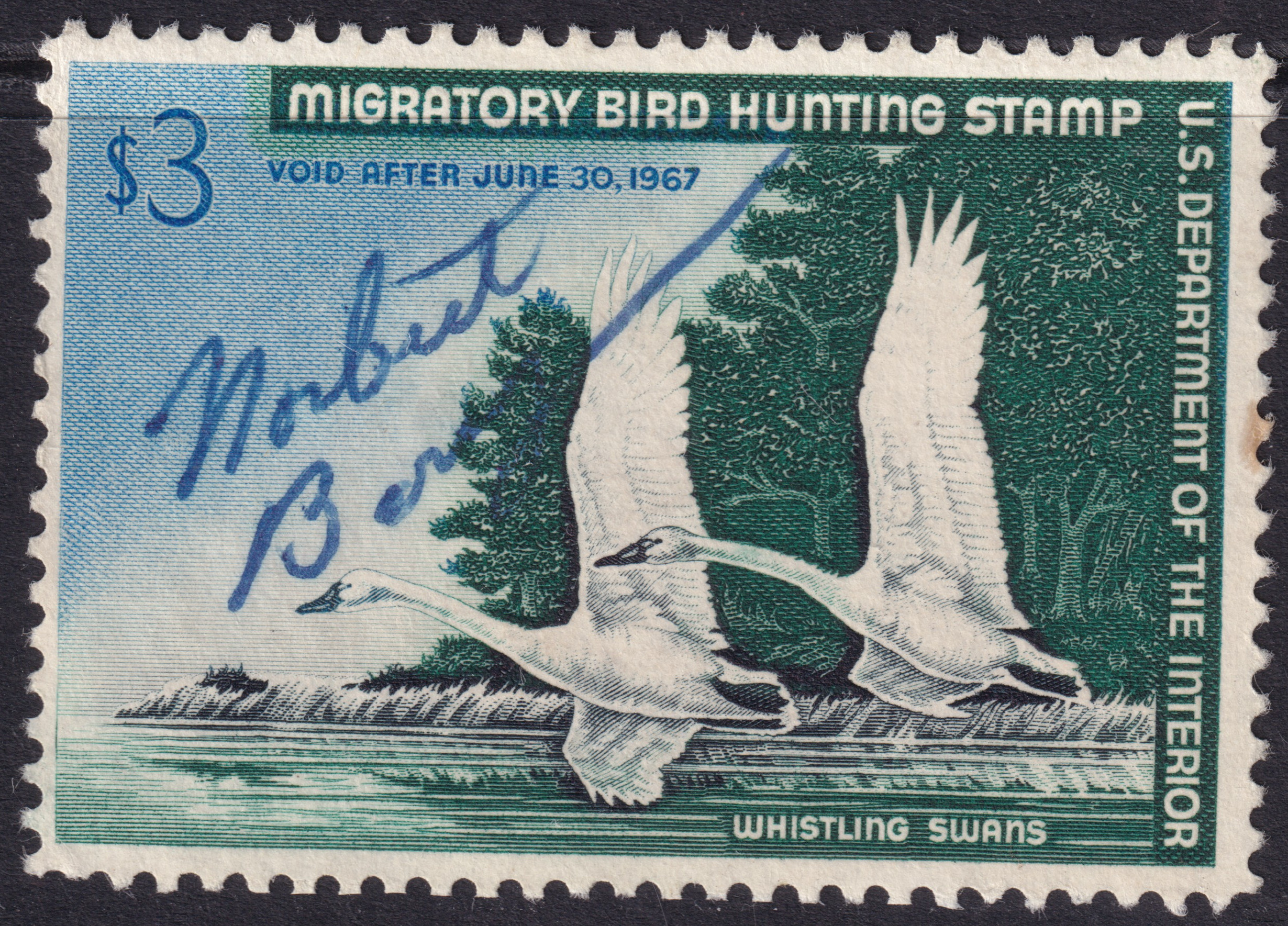 Stamp Picture