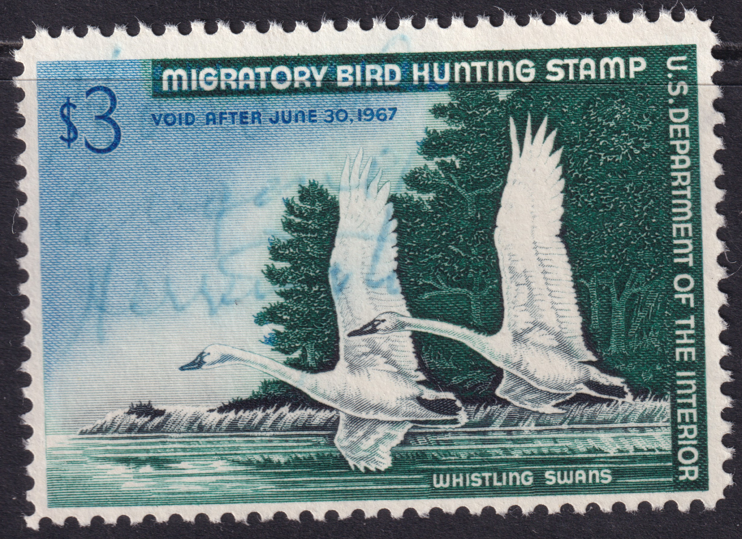 Stamp Picture