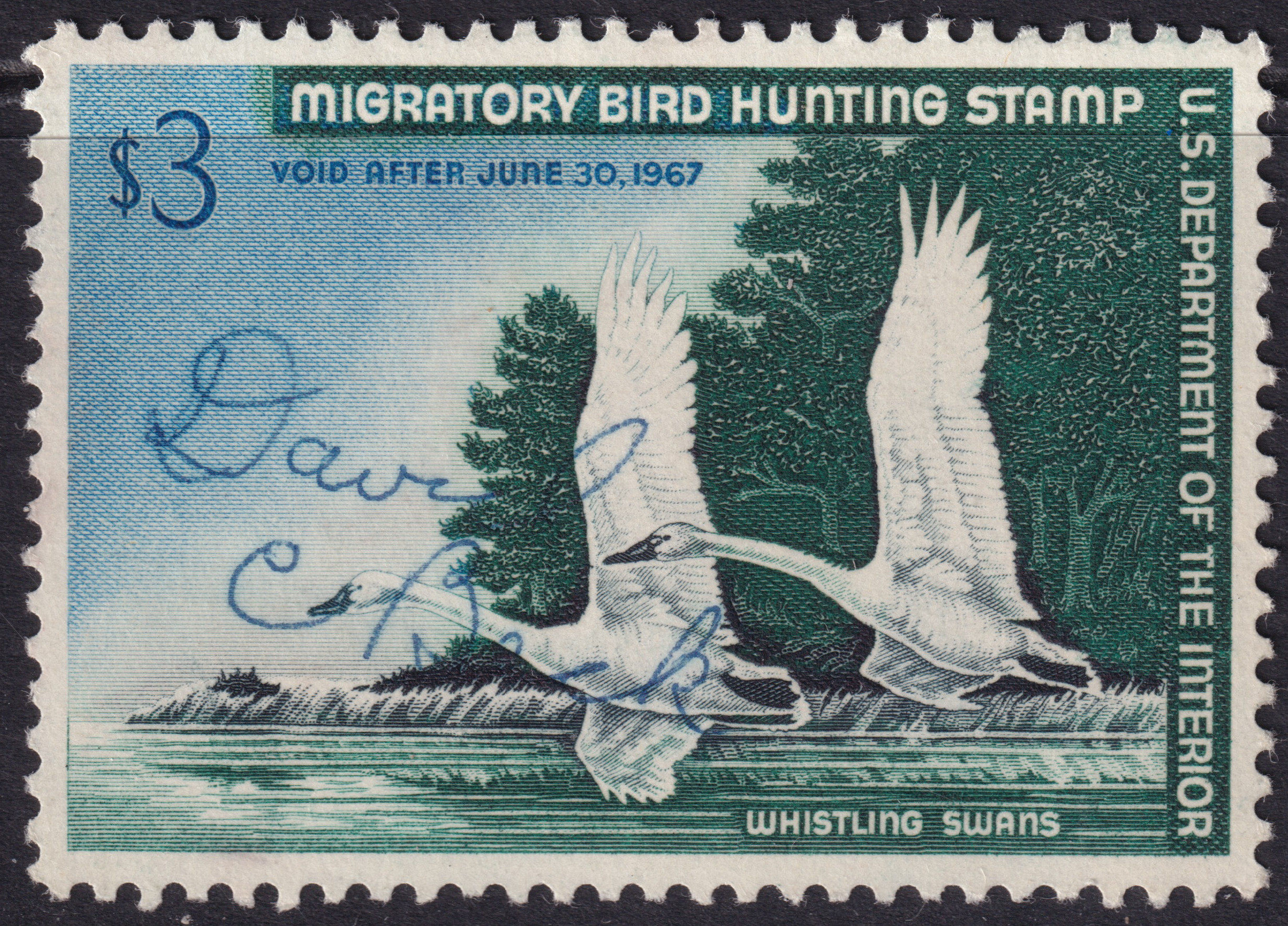 Stamp Picture