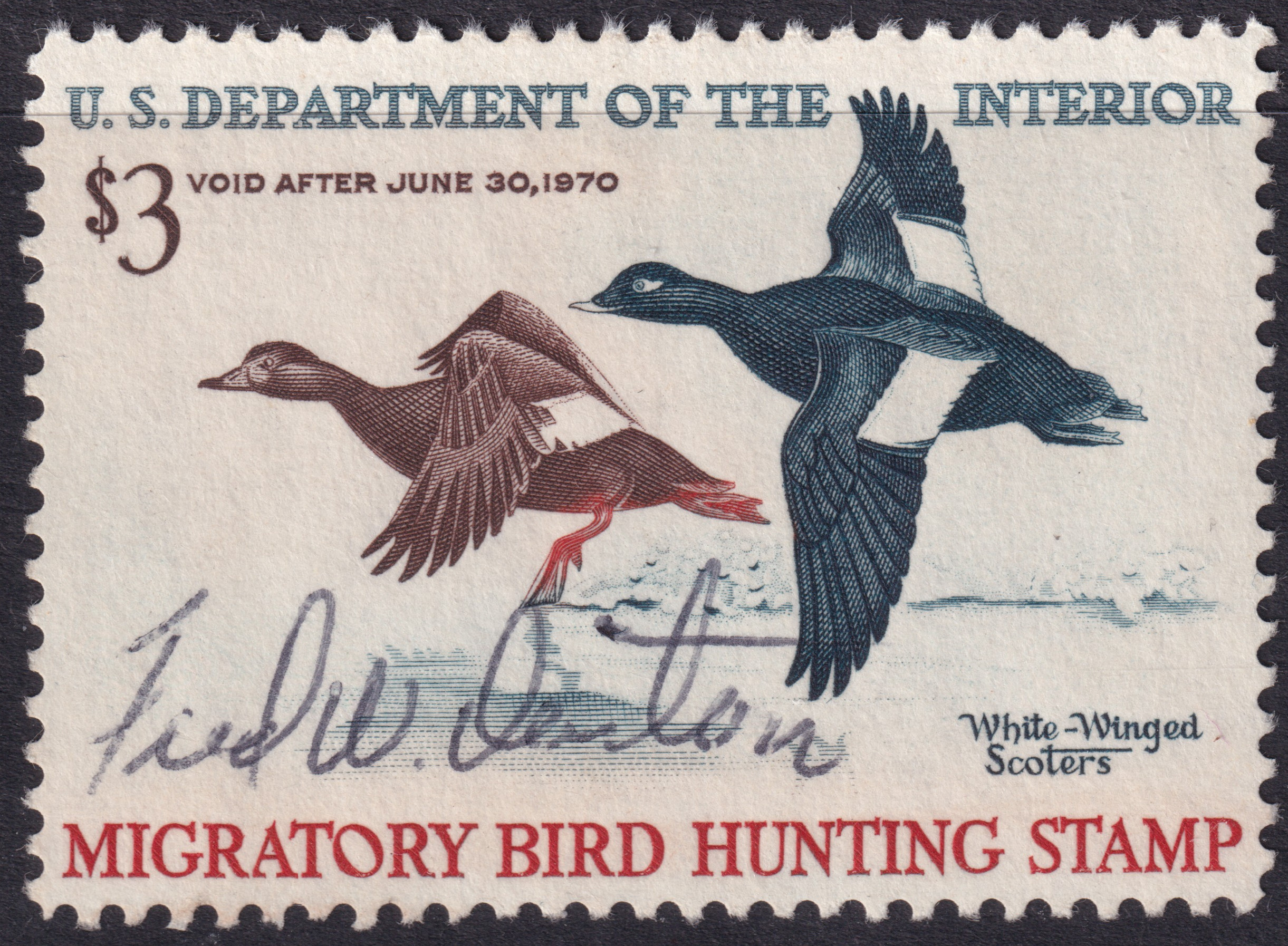 Stamp Picture