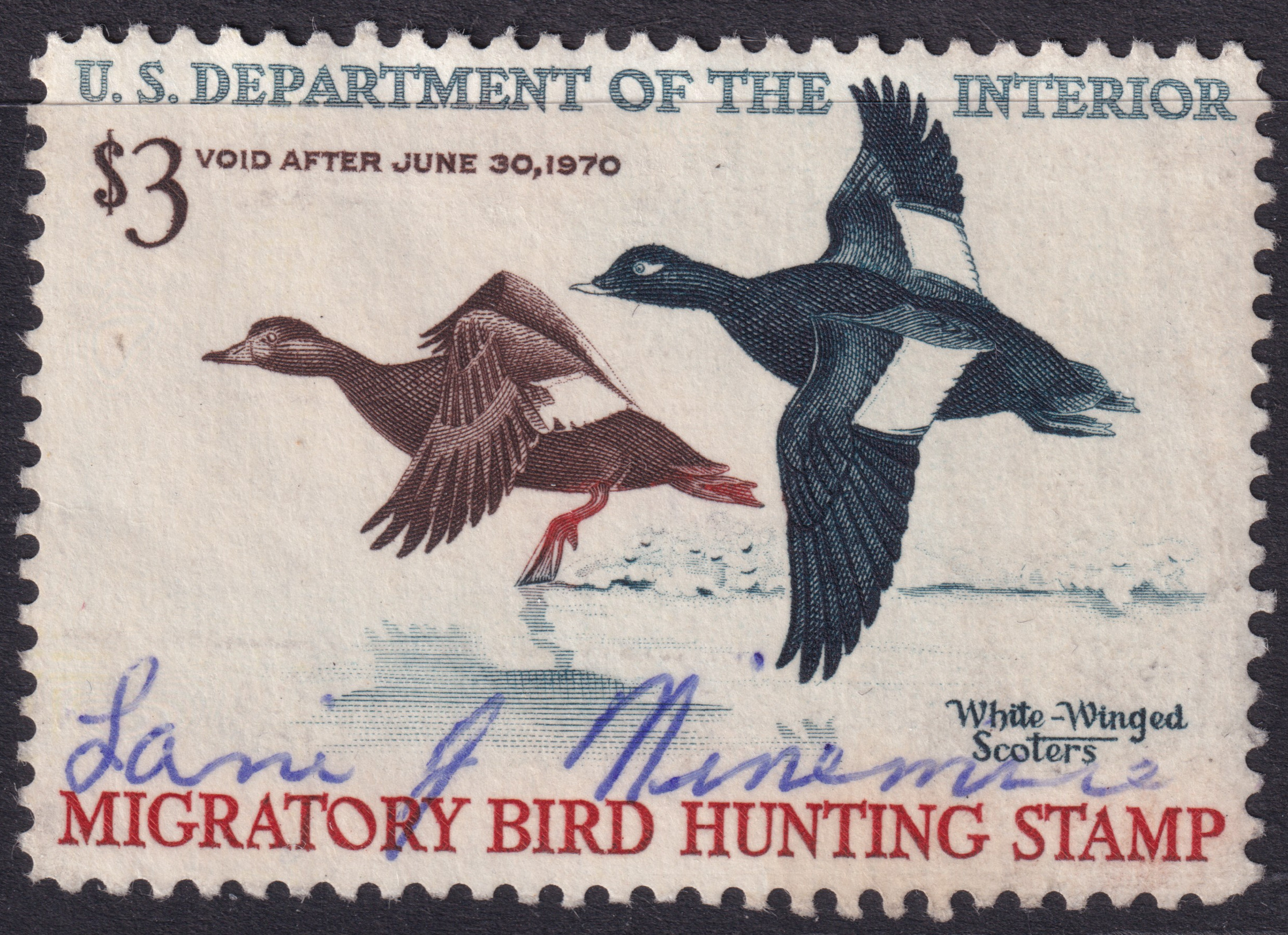 Stamp Picture