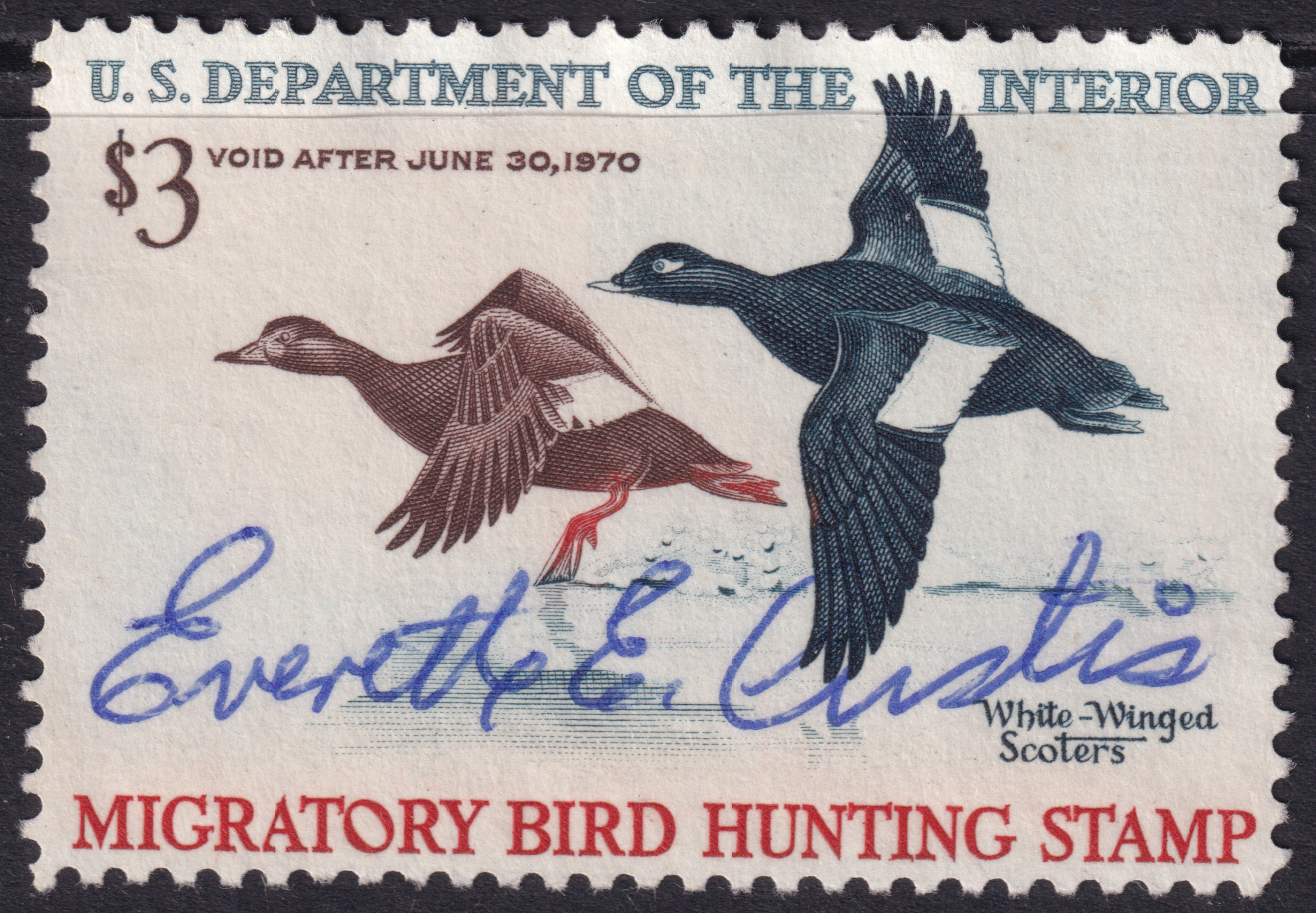 Stamp Picture