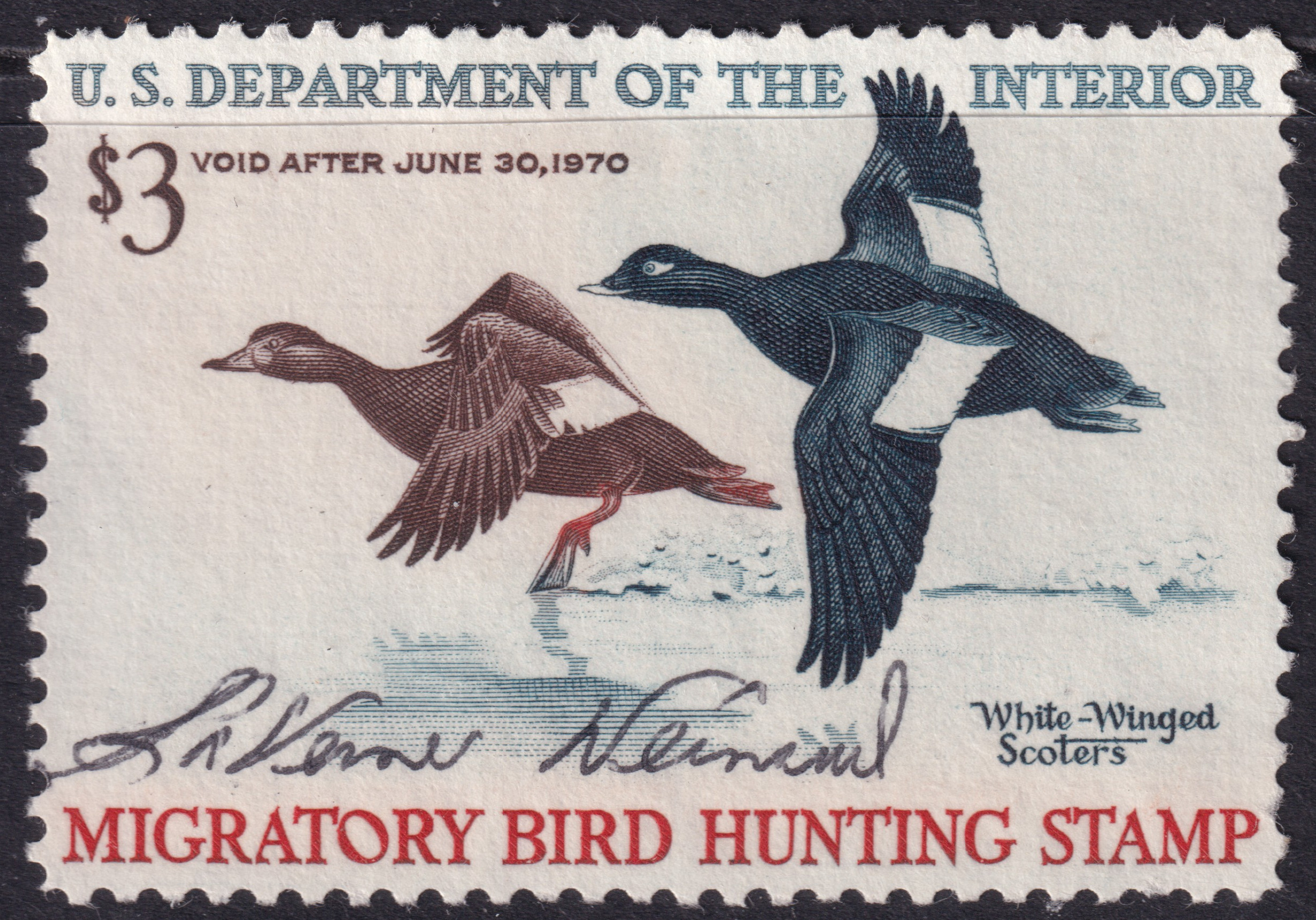 Stamp Picture