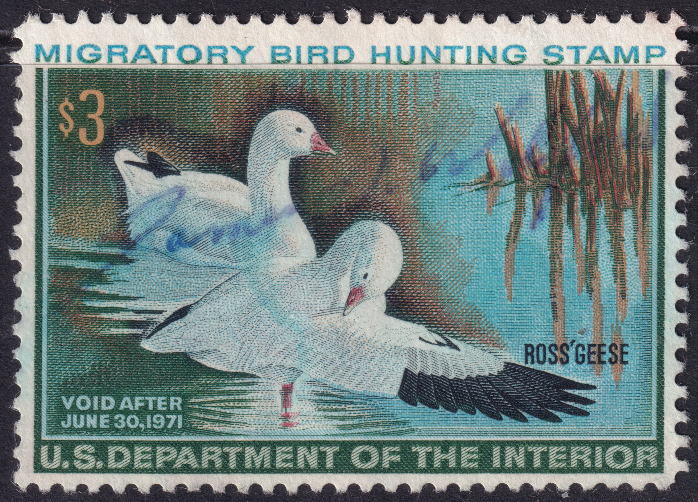 Stamp Picture