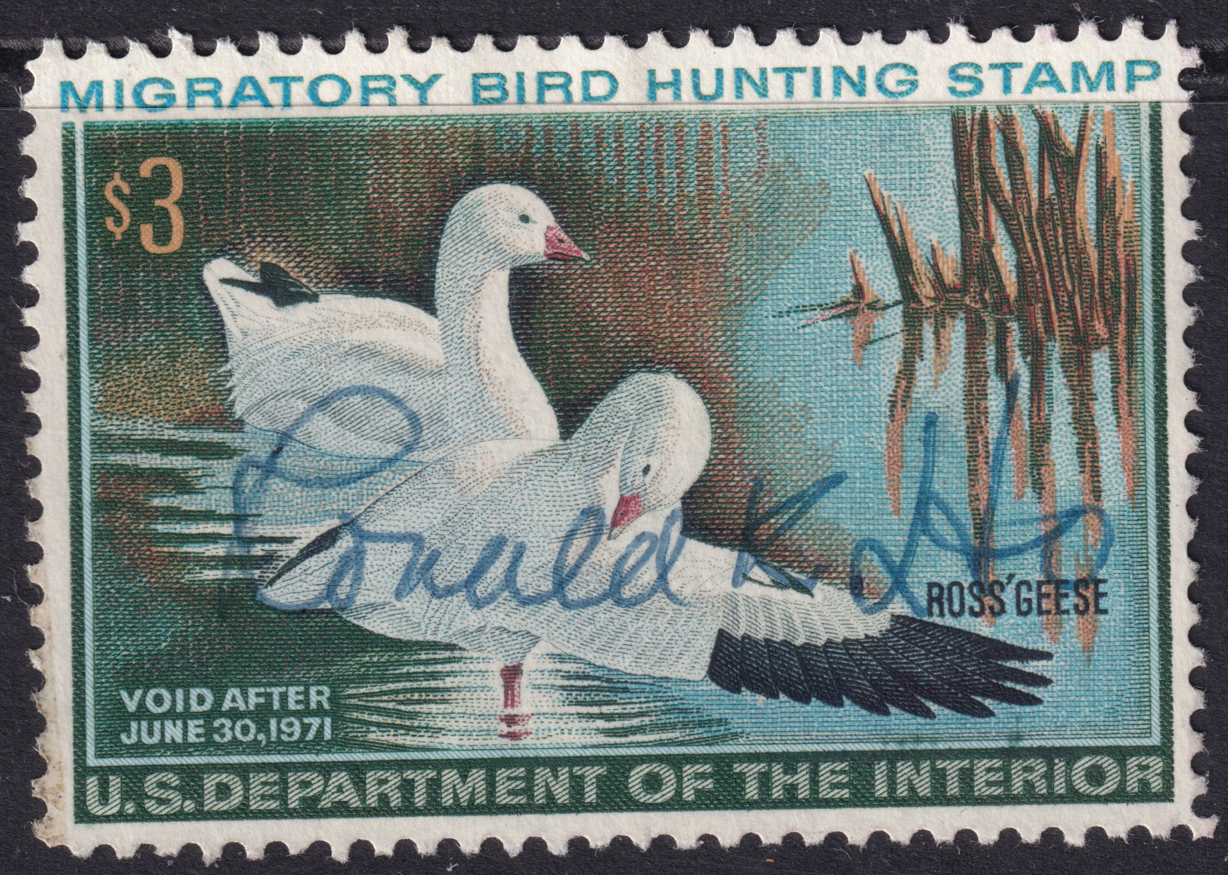 Stamp Picture