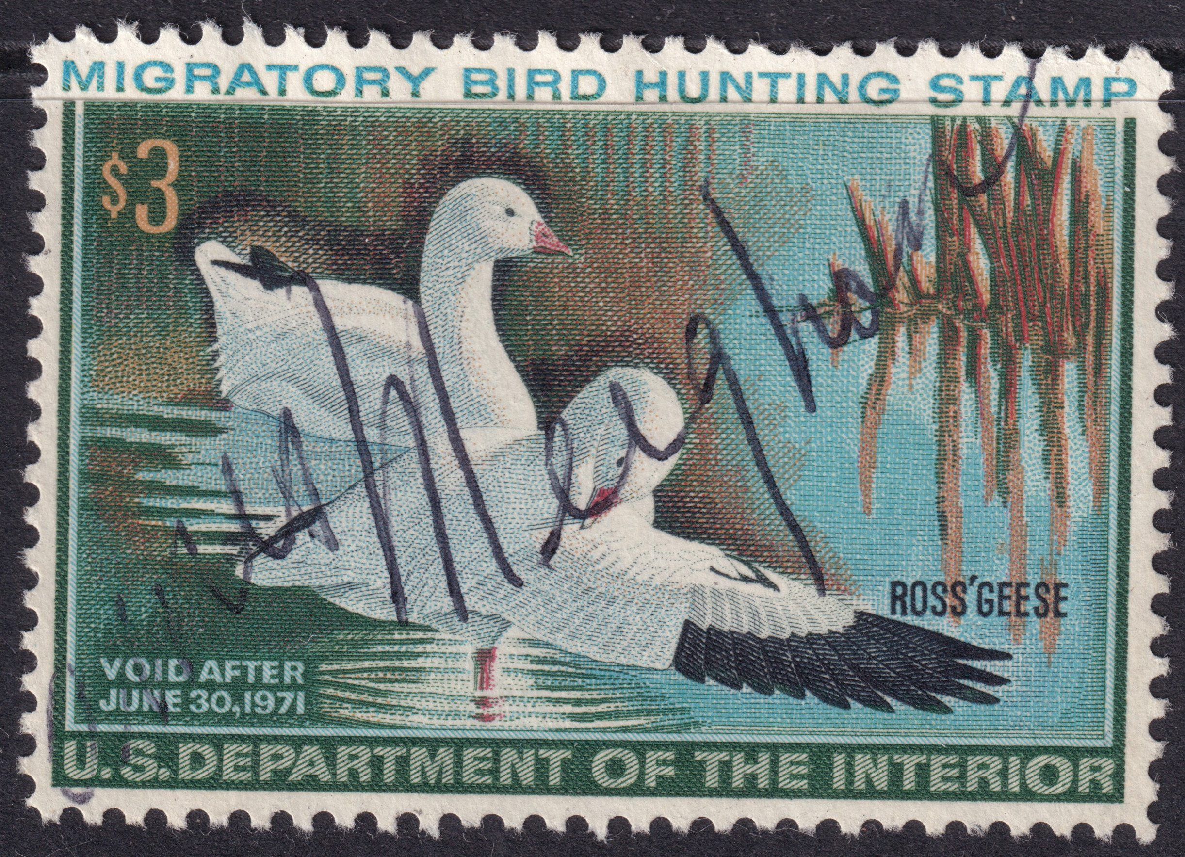 Stamp Picture