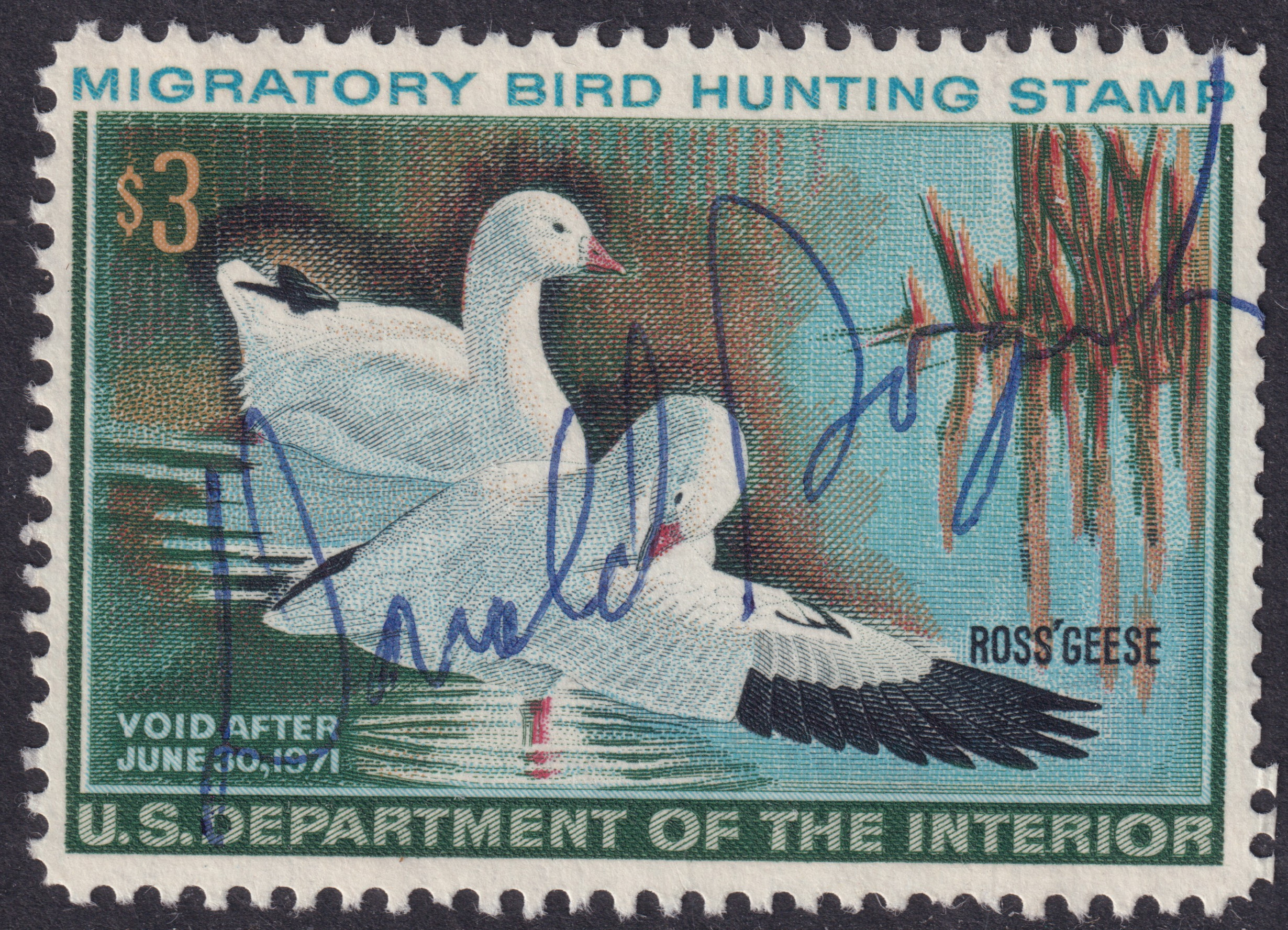 Stamp Picture