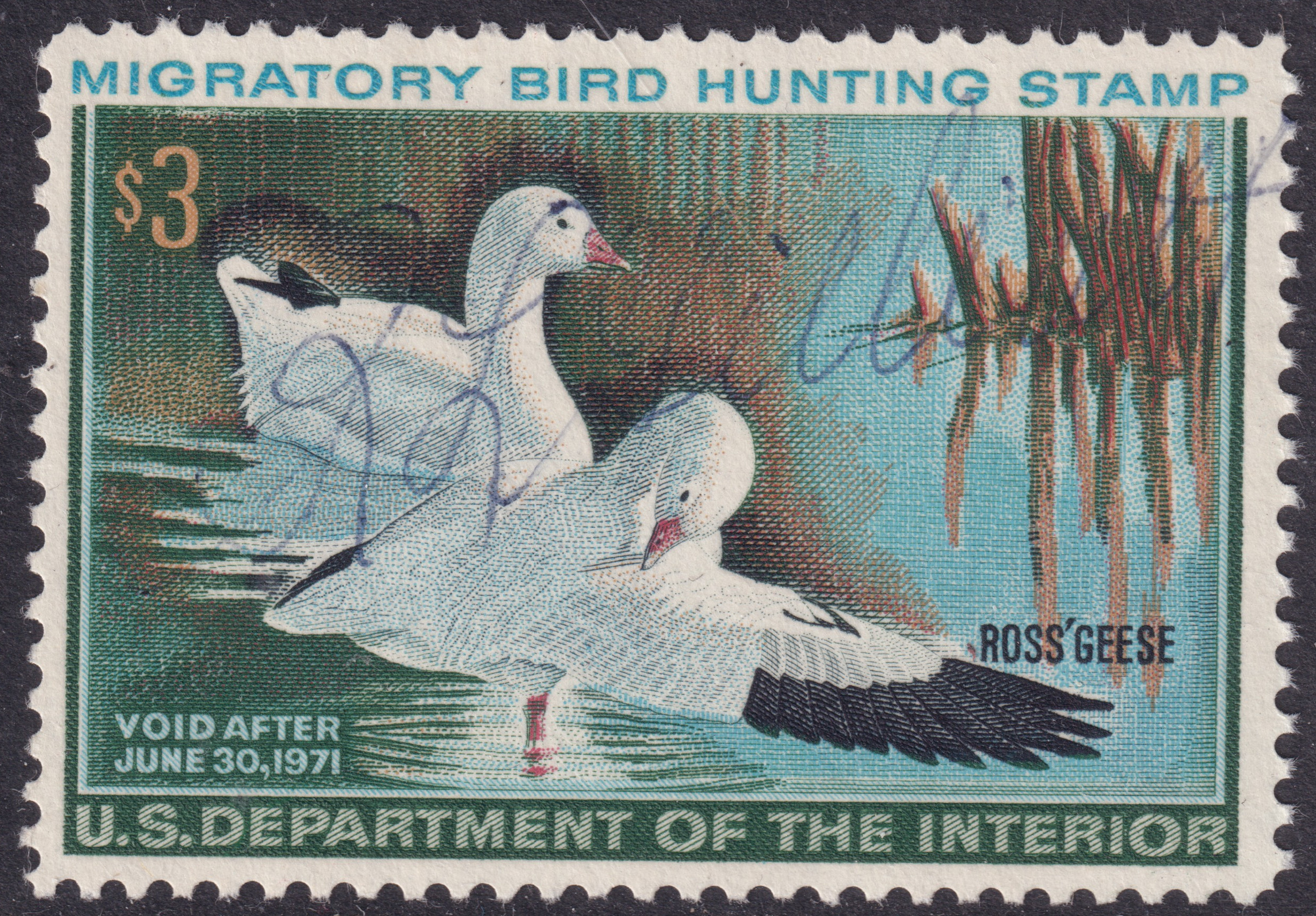 Stamp Picture