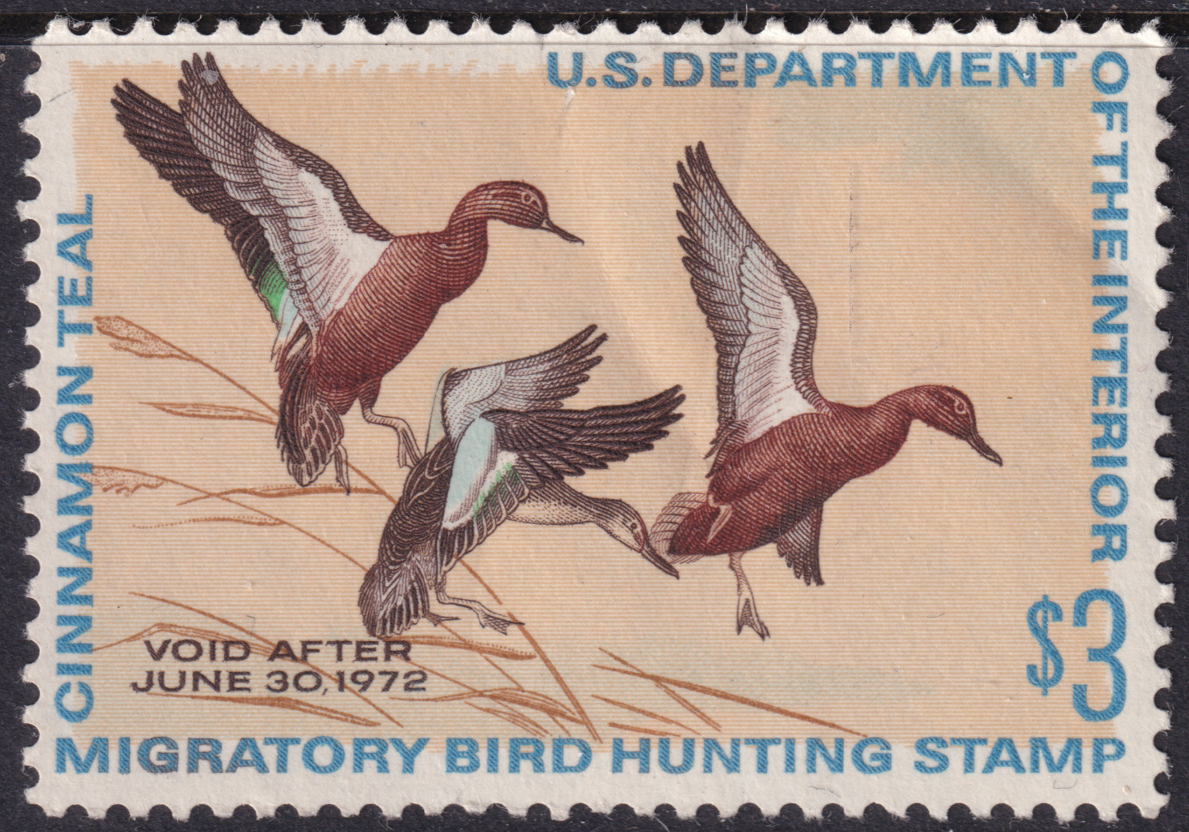 Stamp Picture