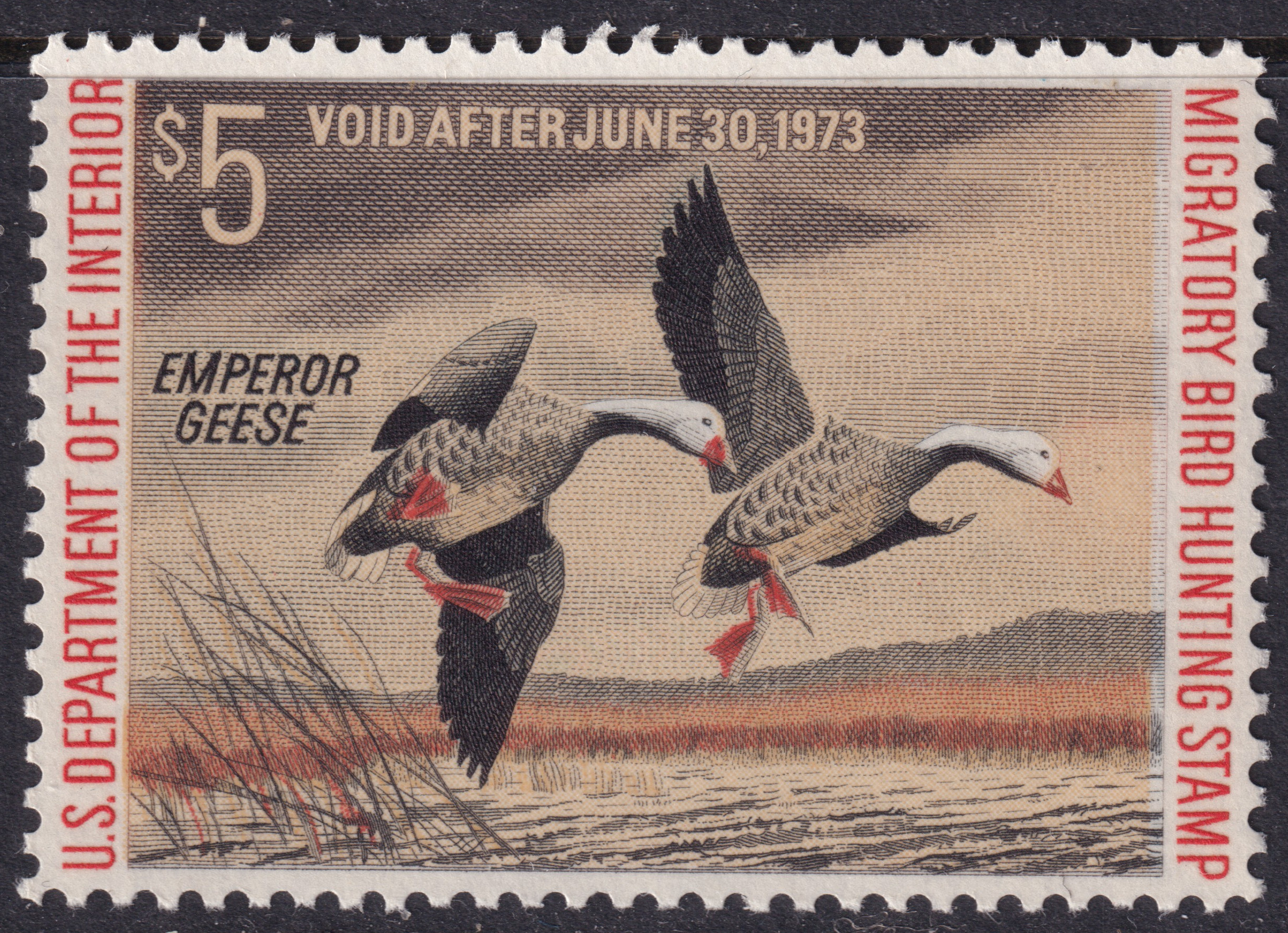 Stamp Picture