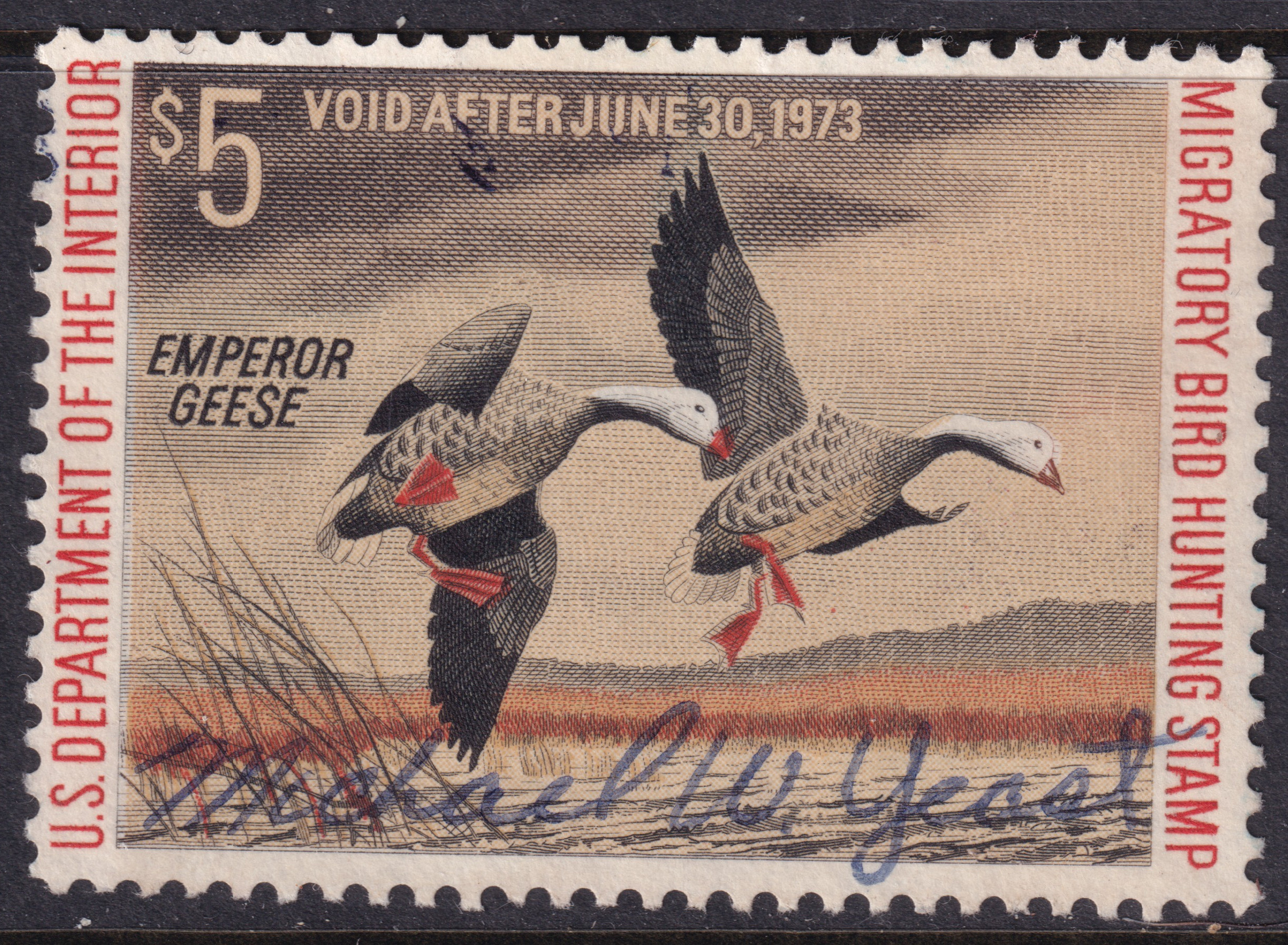 Stamp Picture
