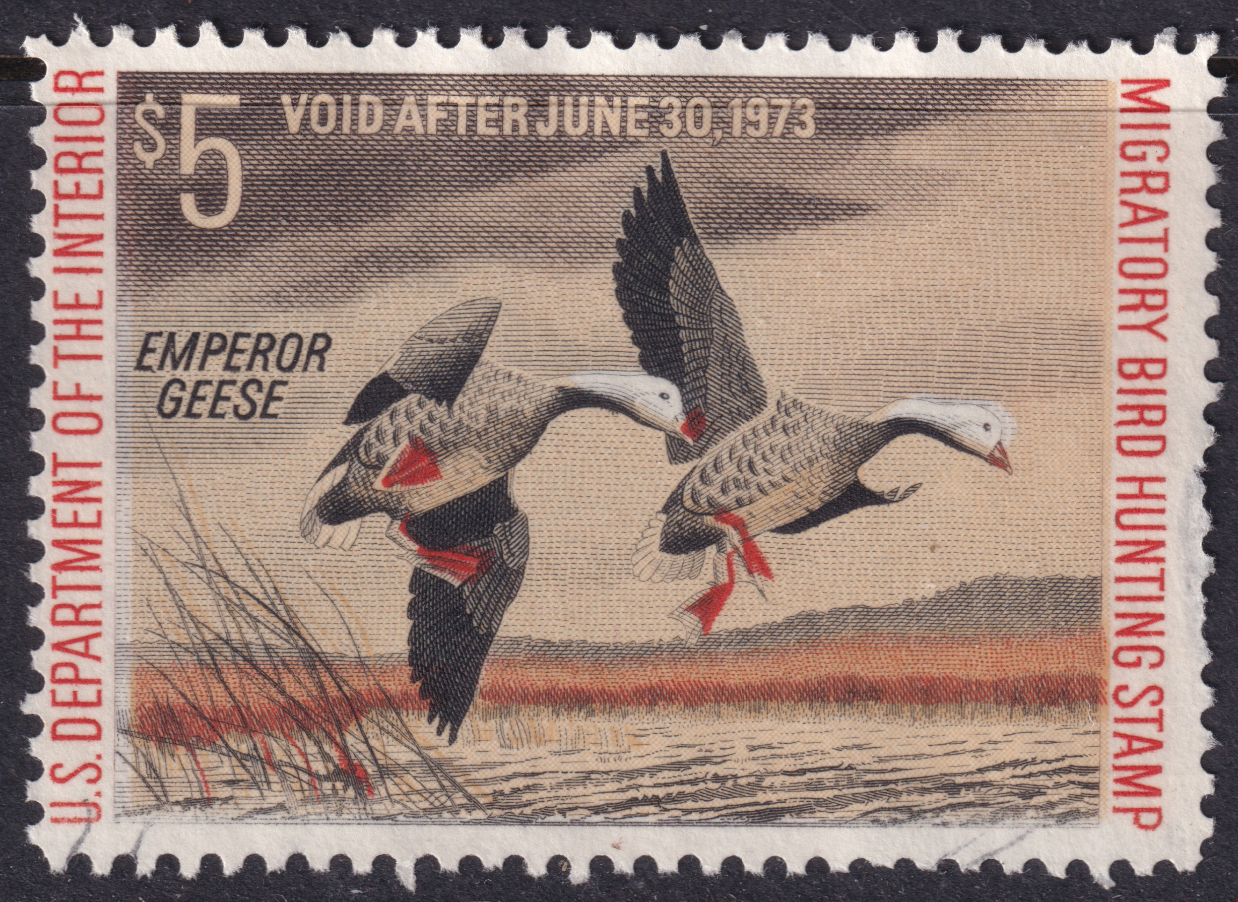 Stamp Picture