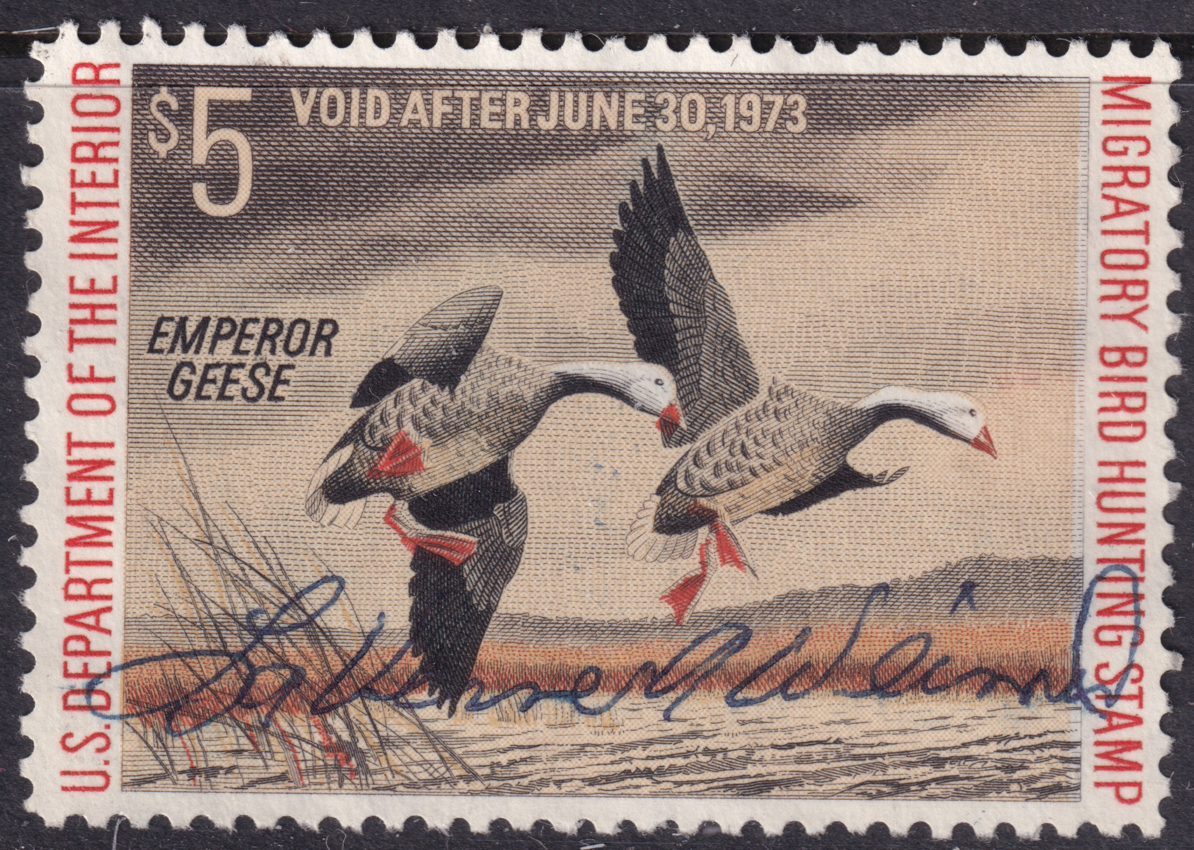 Stamp Picture