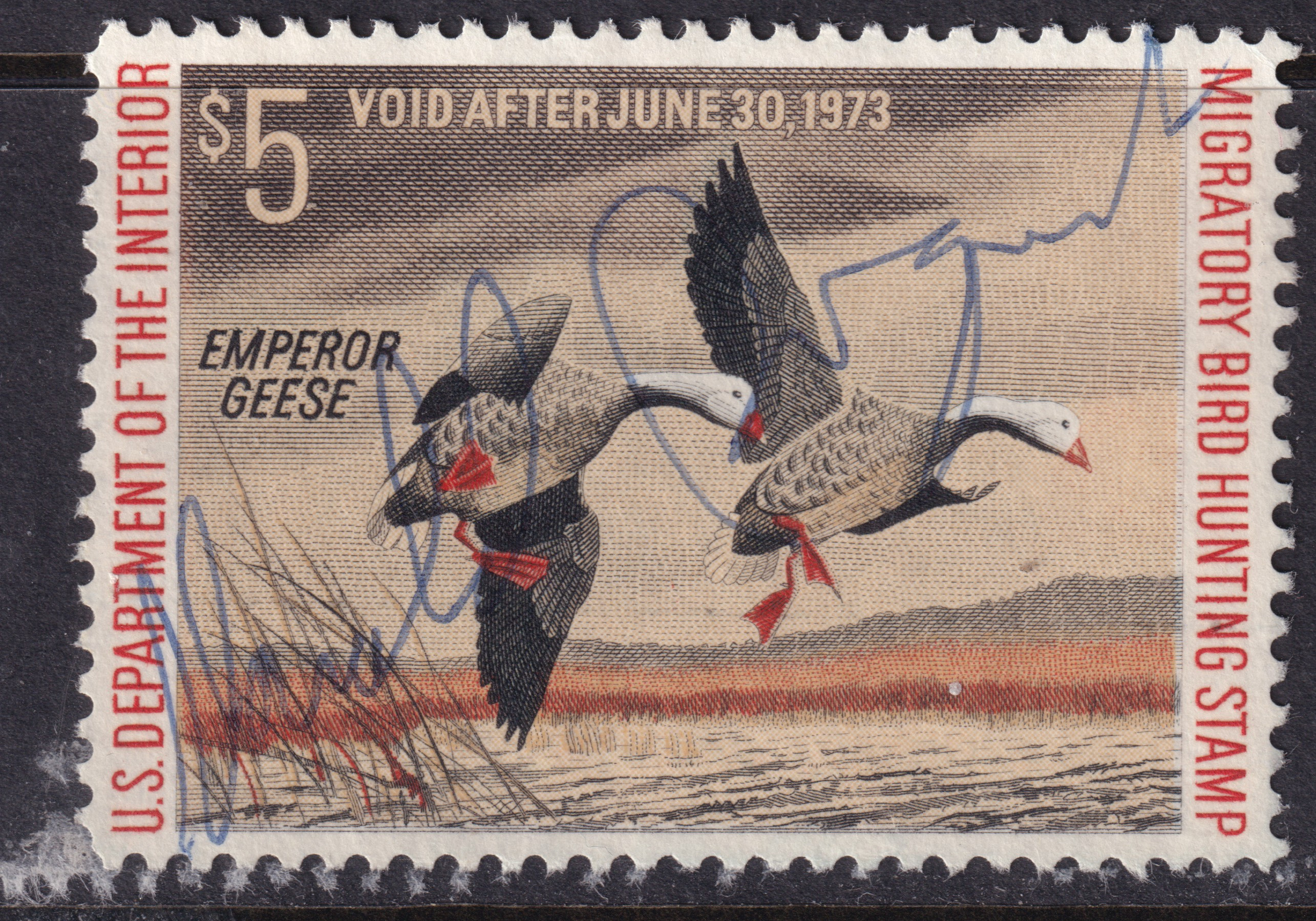 Stamp Picture