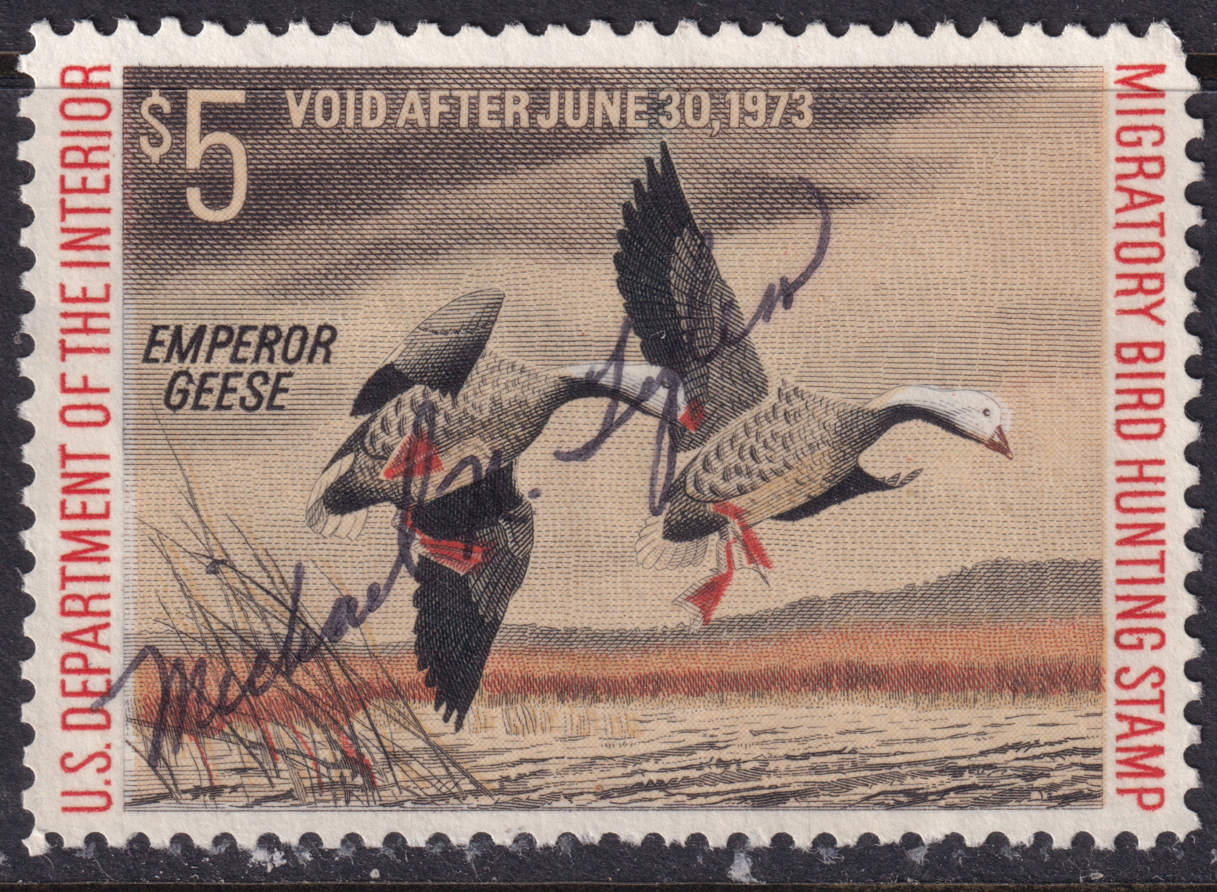 Stamp Picture
