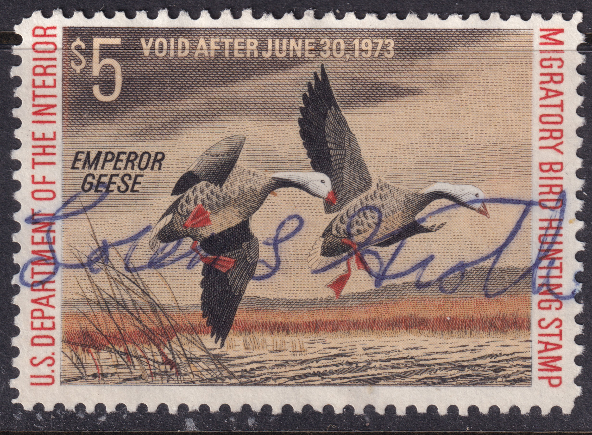 Stamp Picture