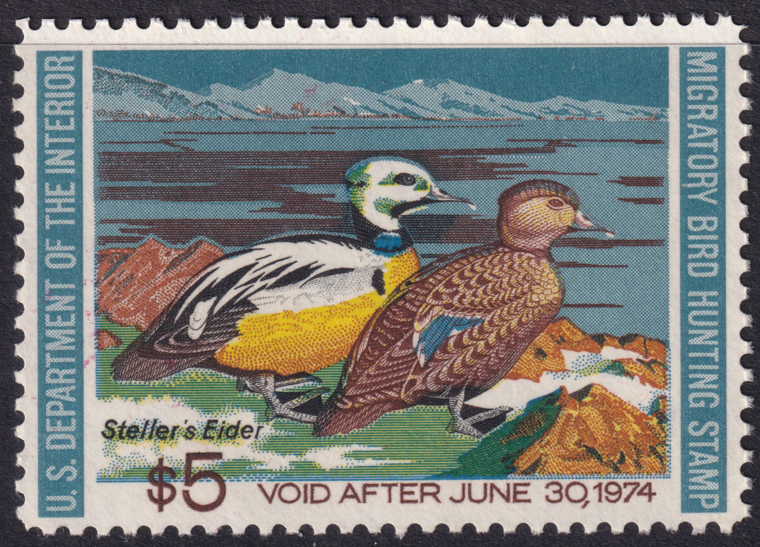 Stamp Picture