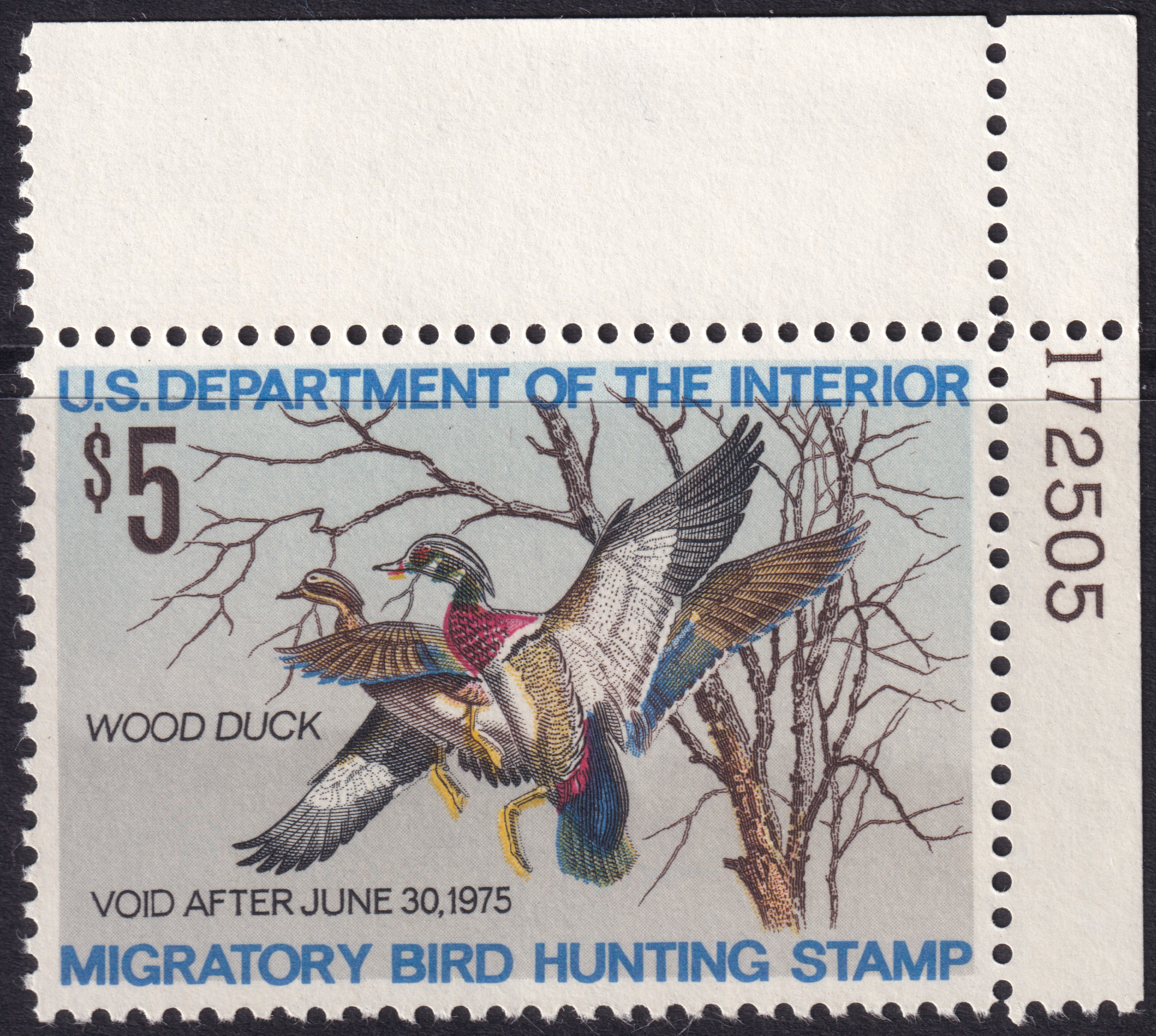 Stamp Picture
