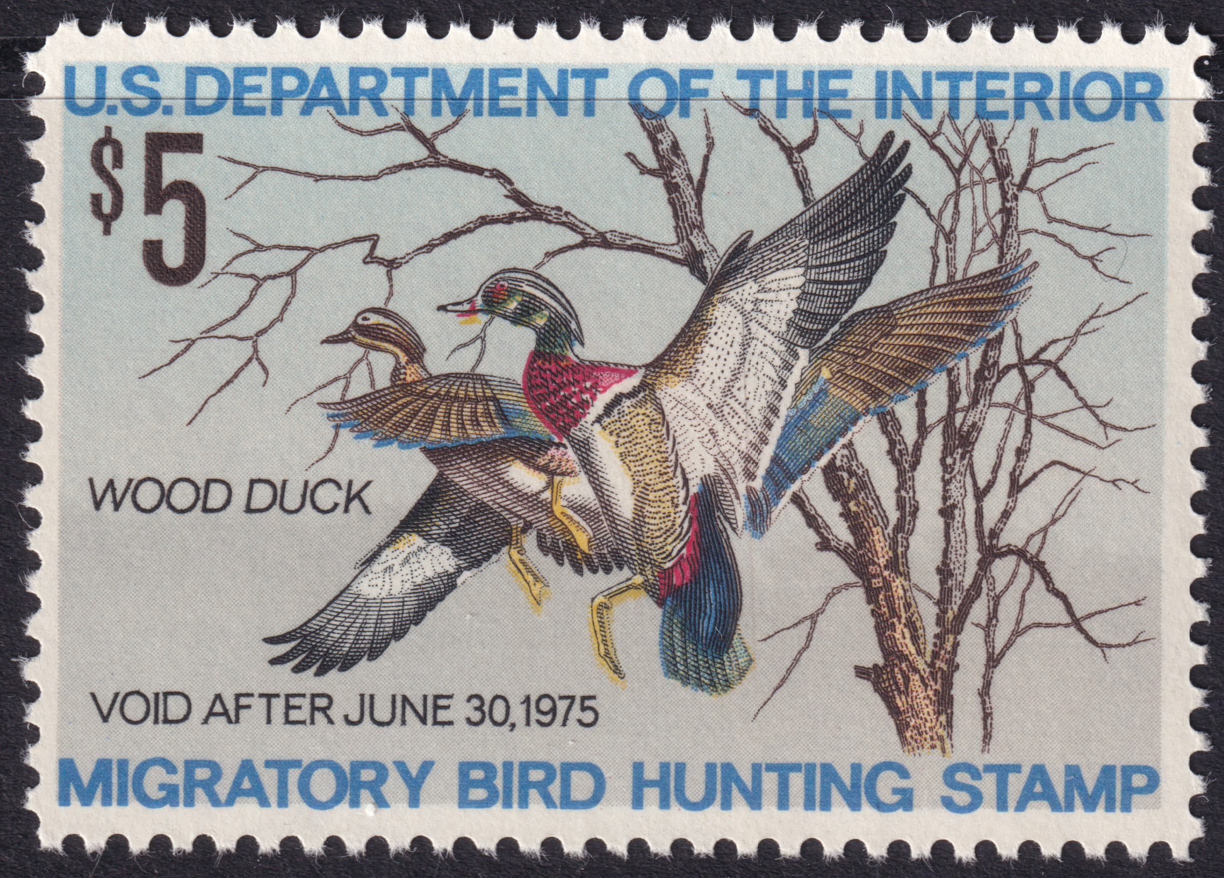 Stamp Picture