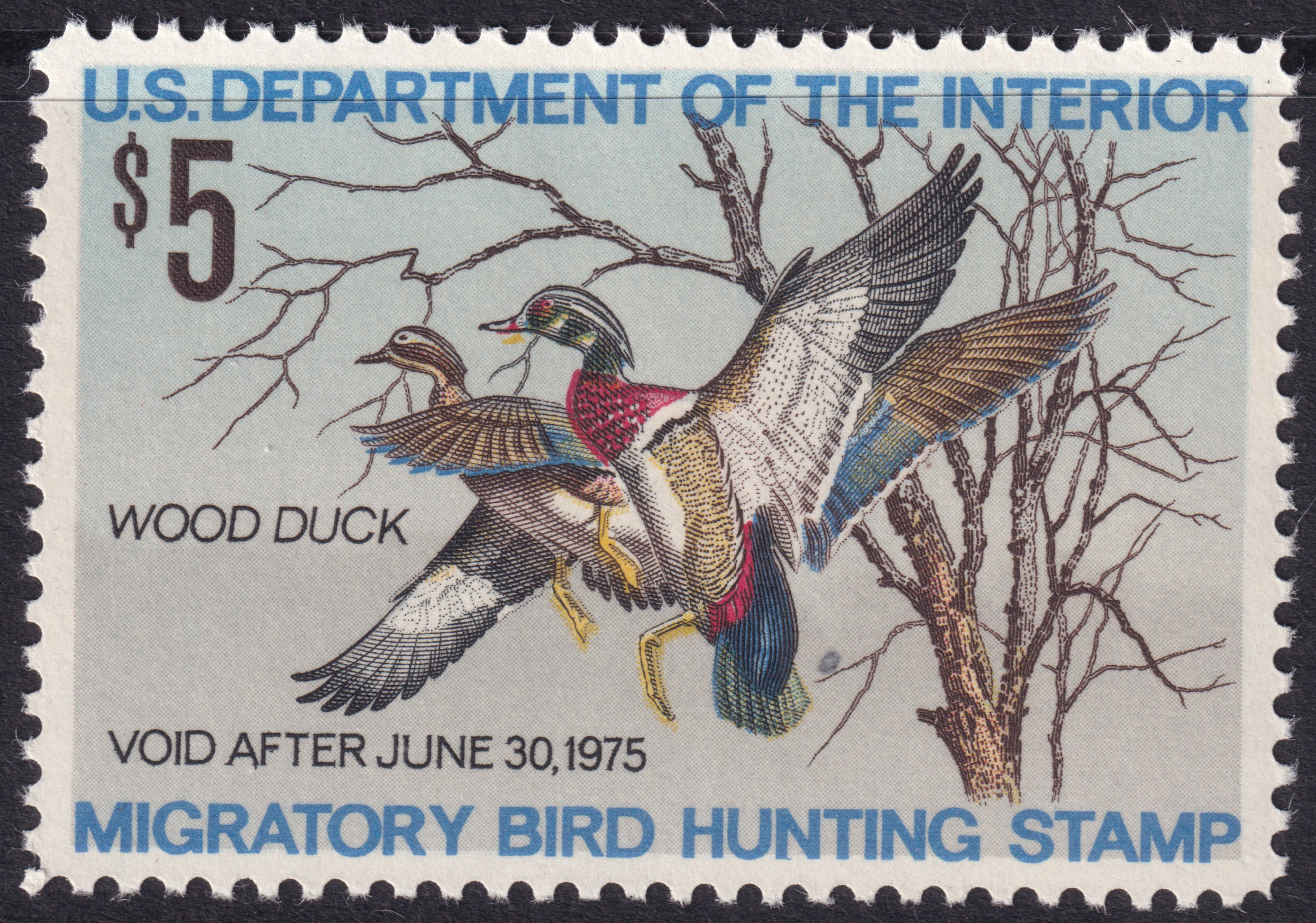 Stamp Picture