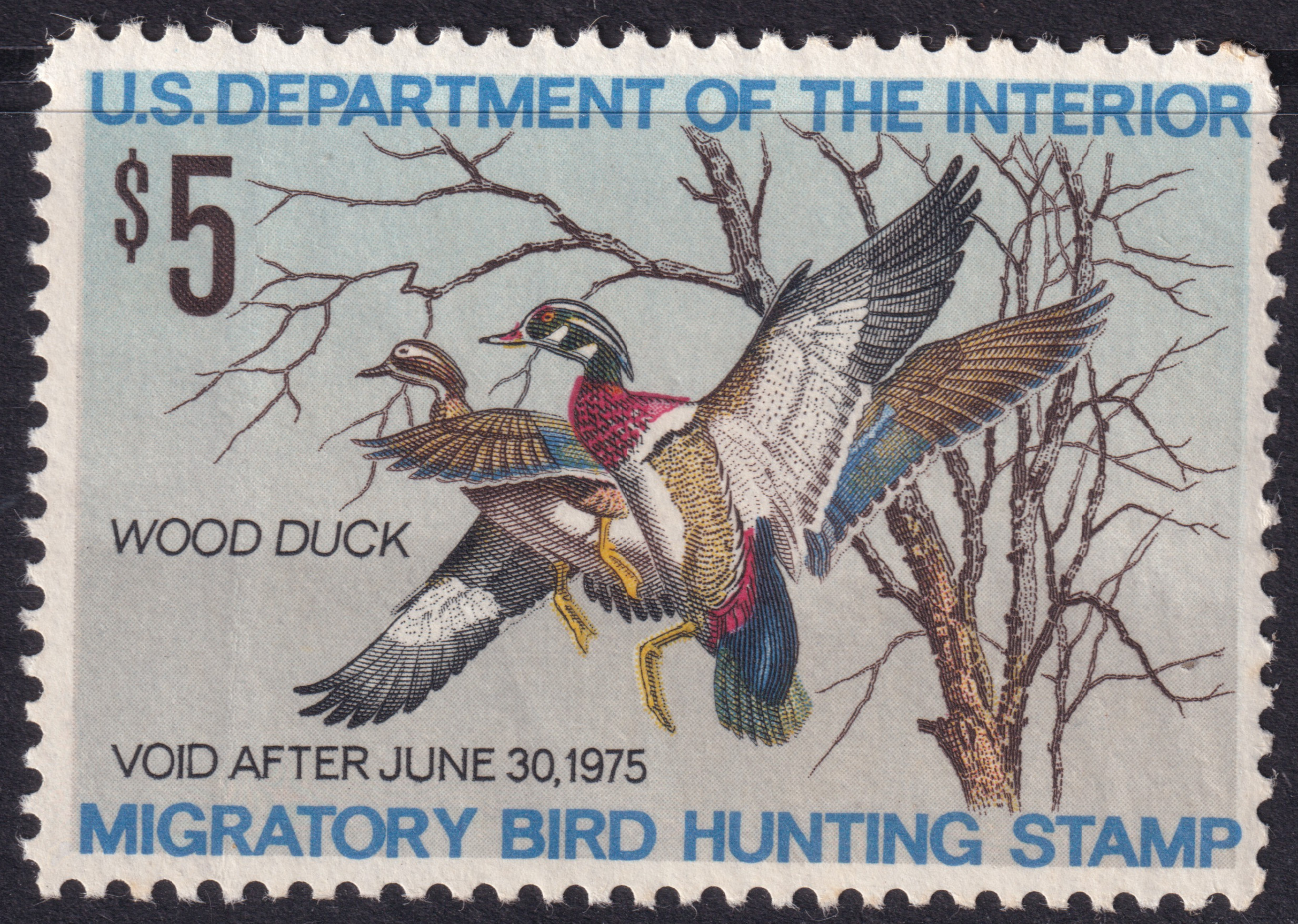 Stamp Picture