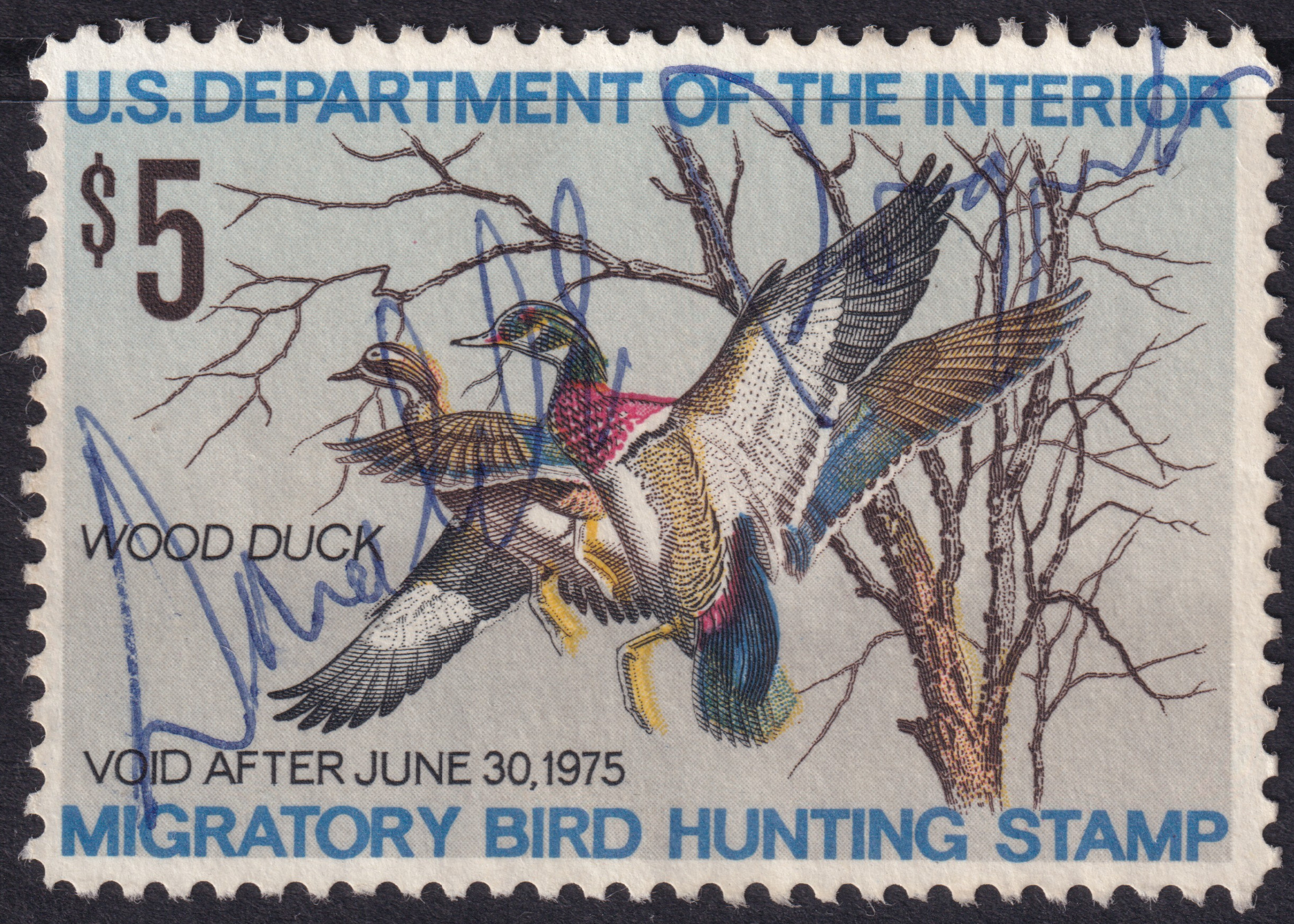 Stamp Picture