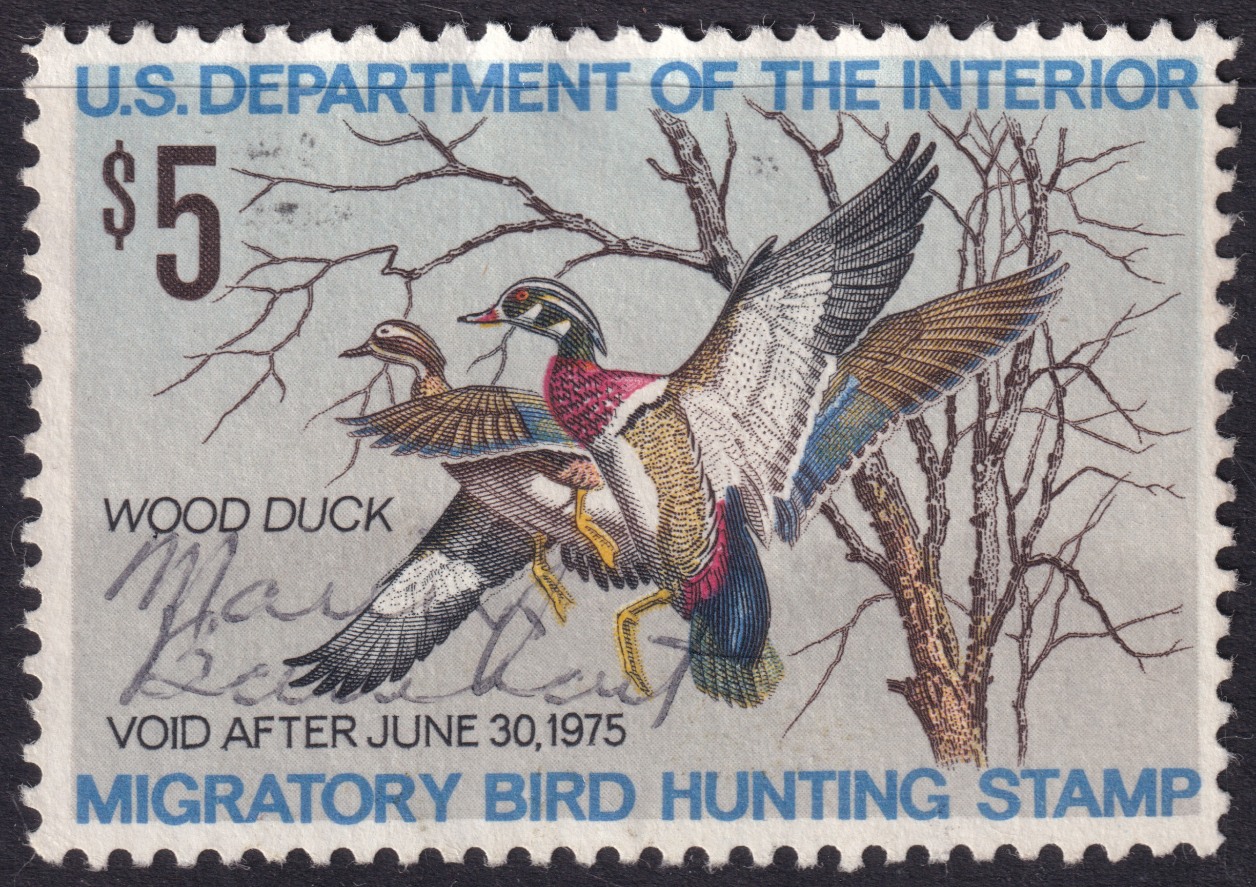 Stamp Picture