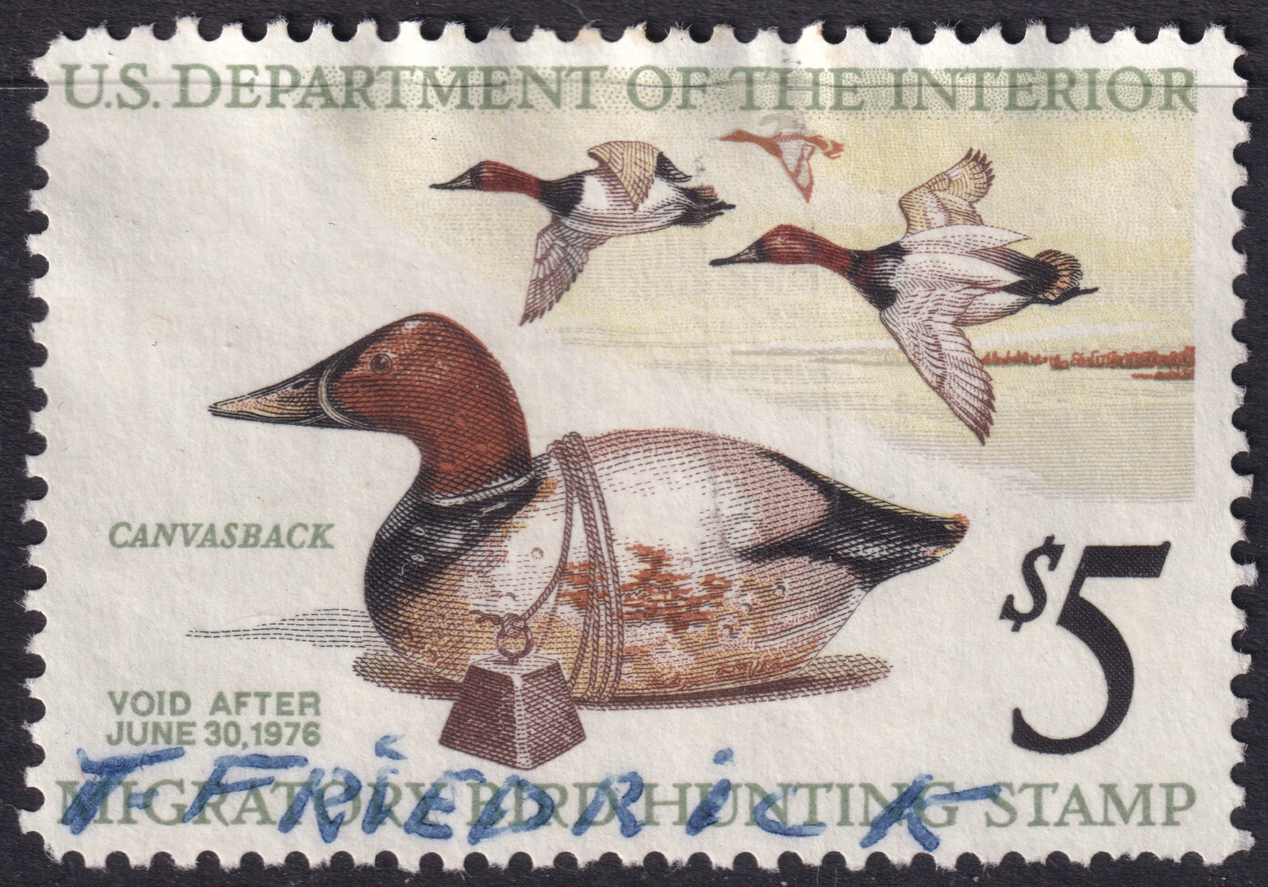 Stamp Picture