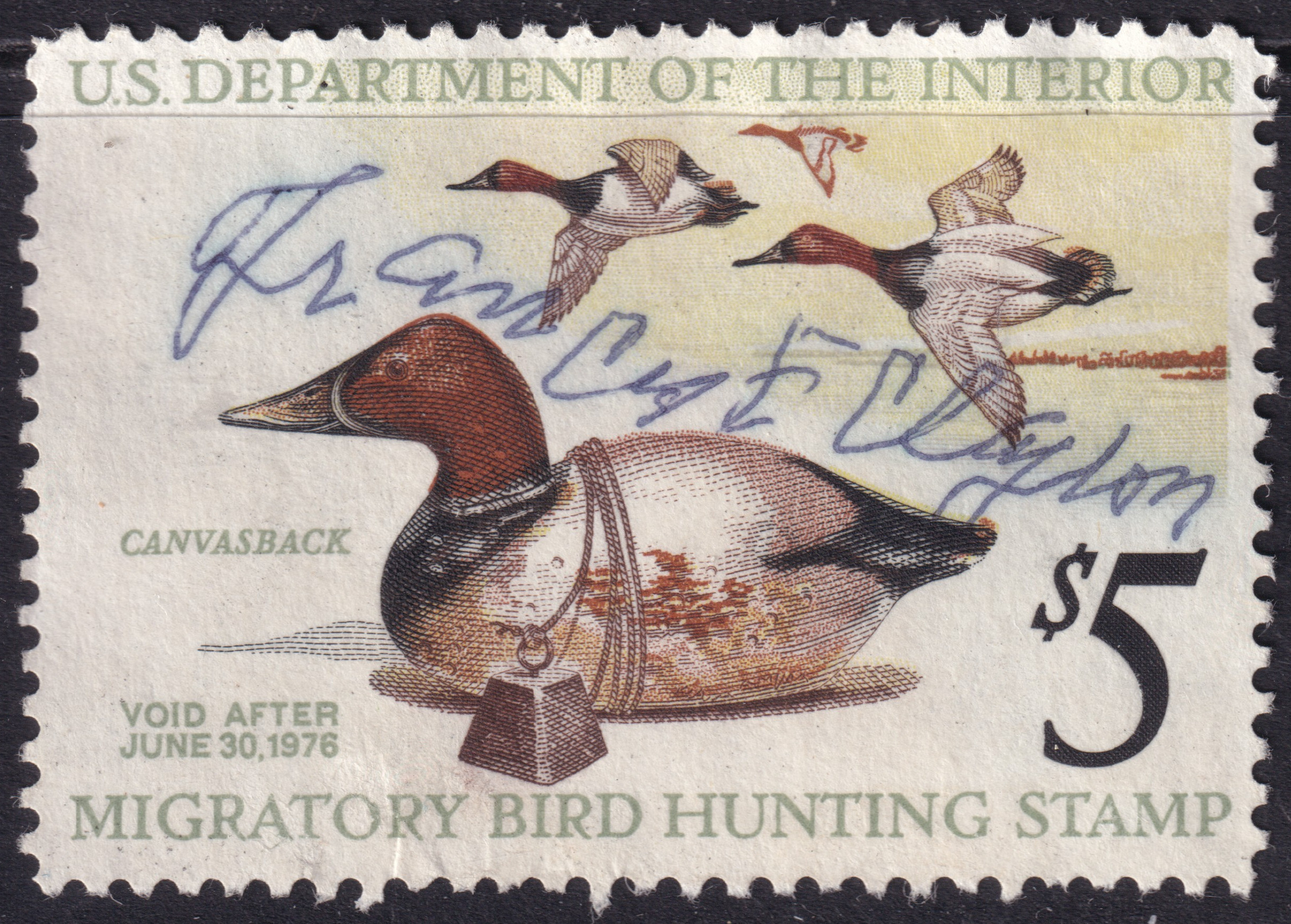 Stamp Picture