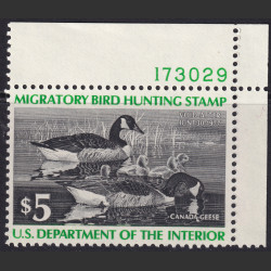 Picture of Lot #55900