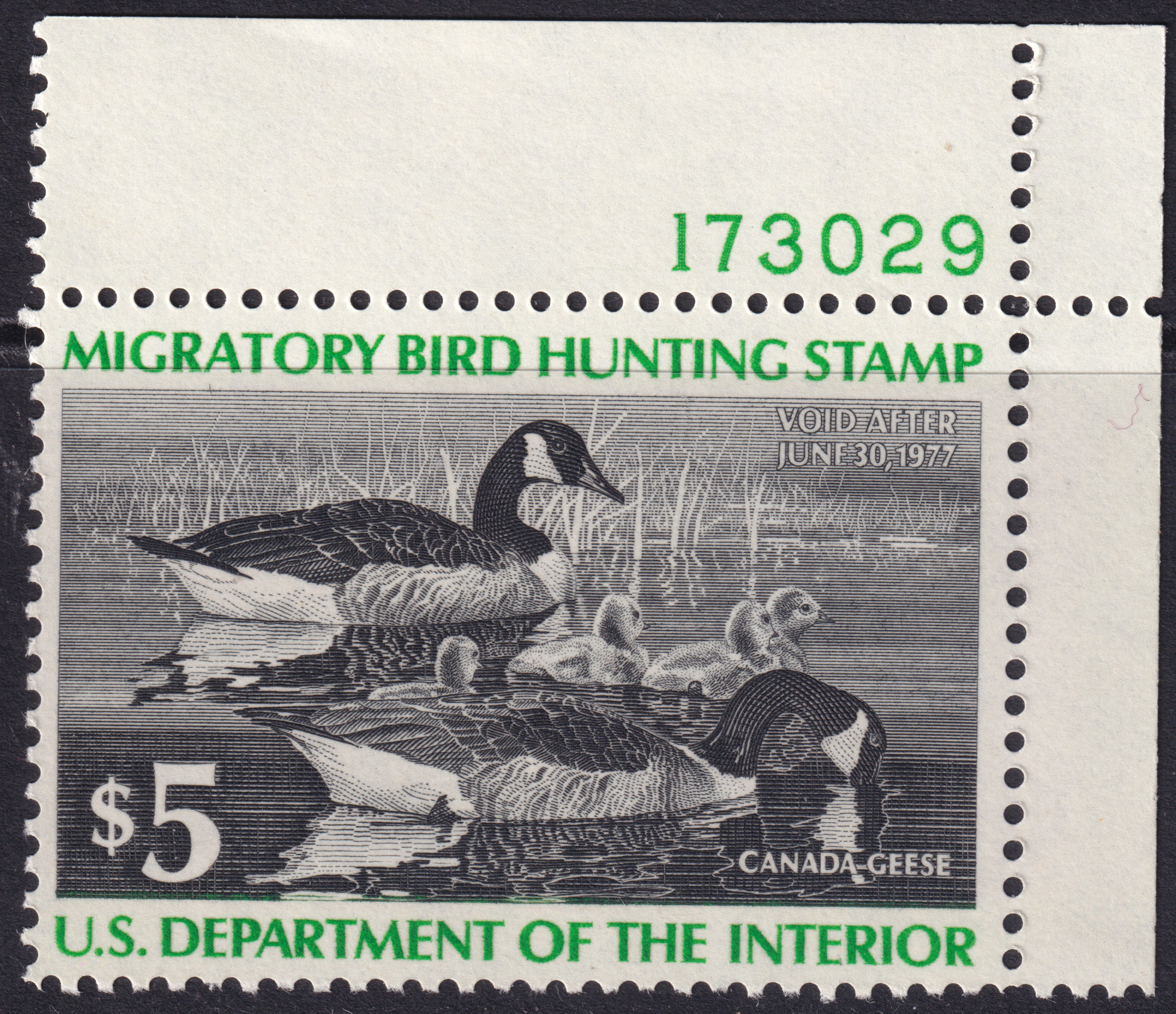 Stamp Picture