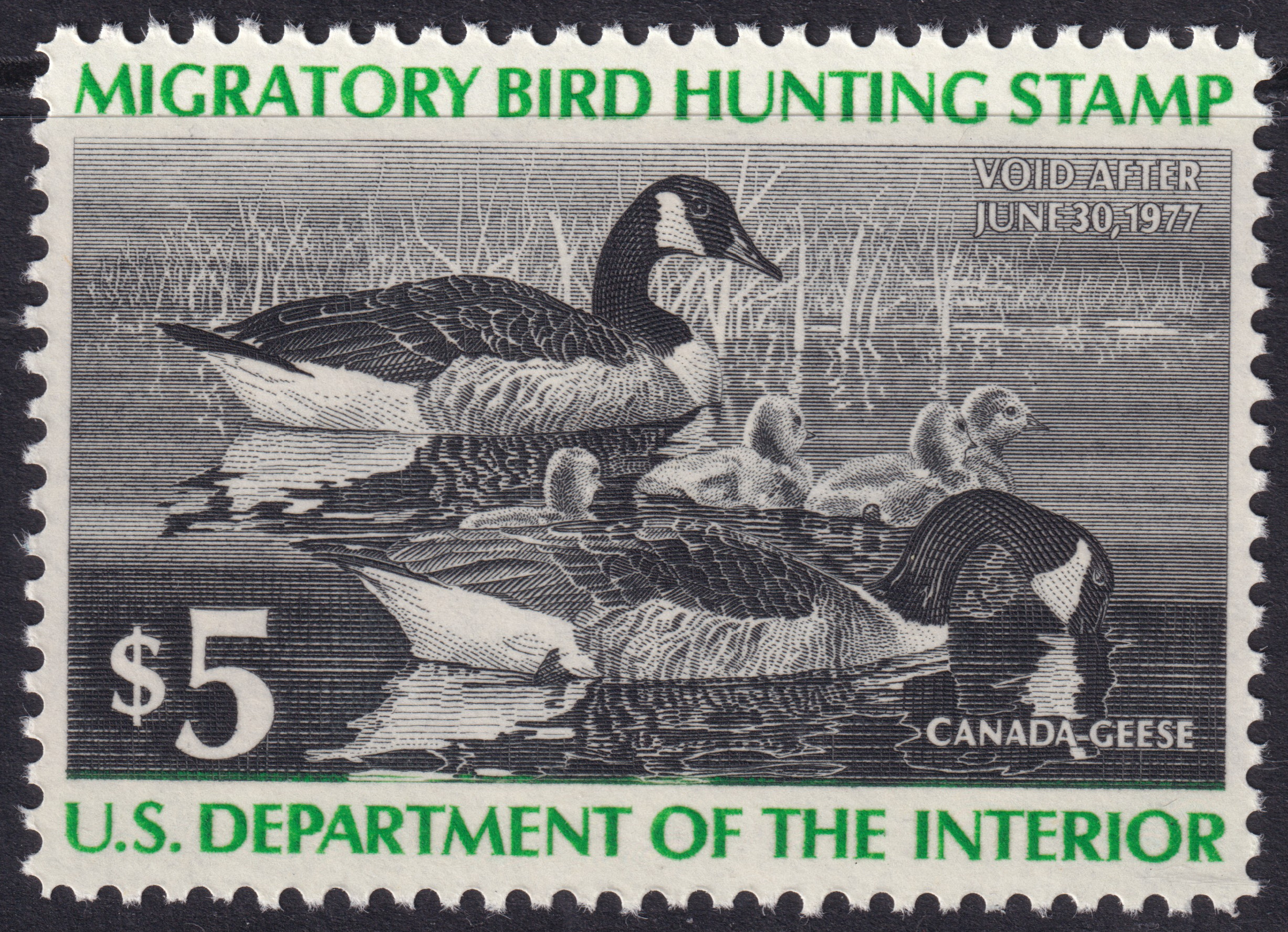 Stamp Picture