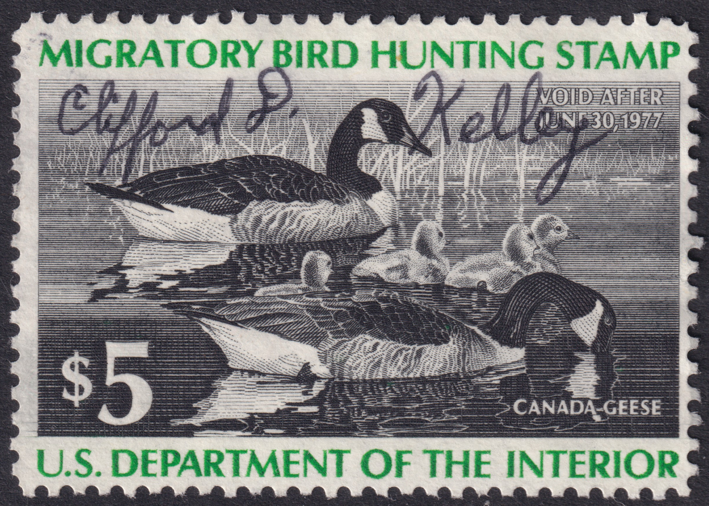 Stamp Picture