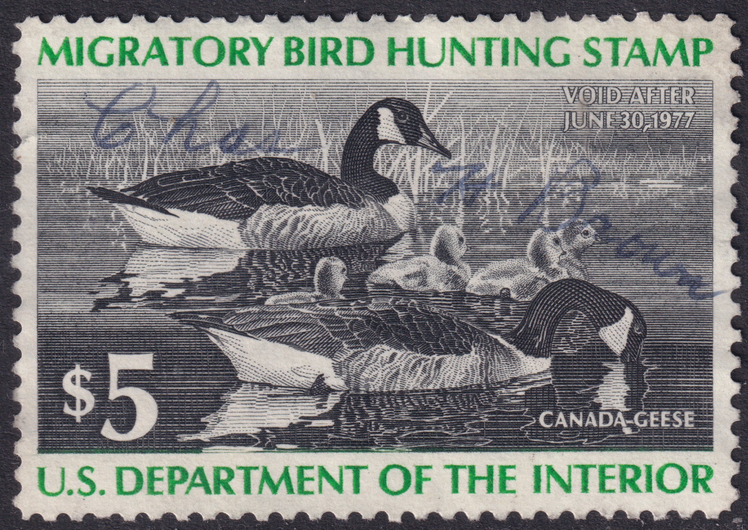 Stamp Picture