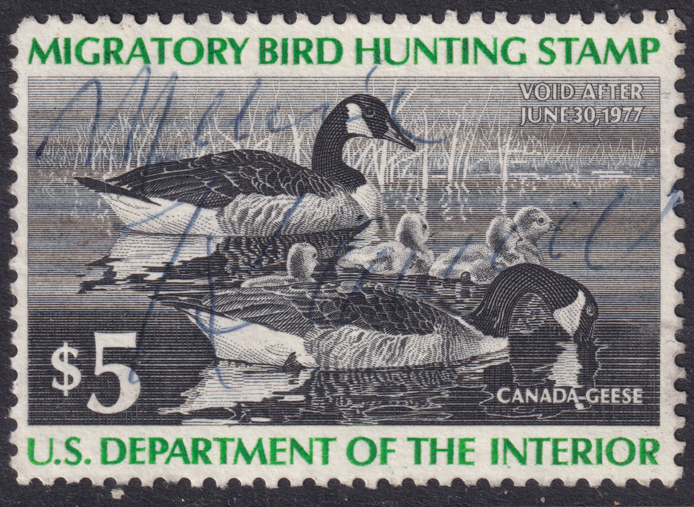 Stamp Picture