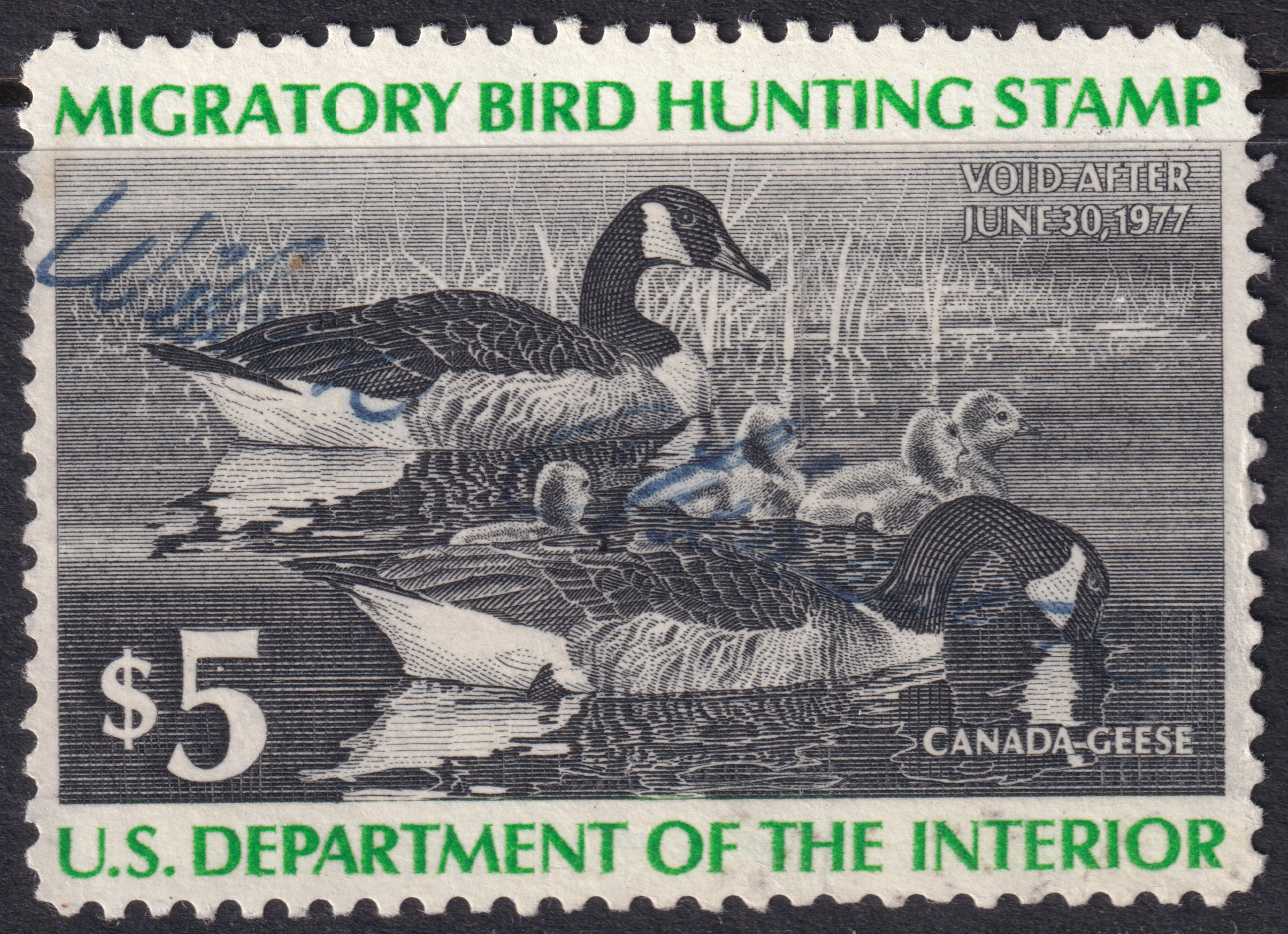Stamp Picture