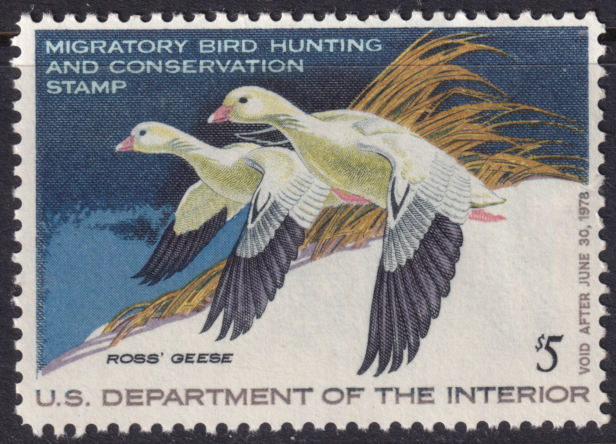 Stamp Picture