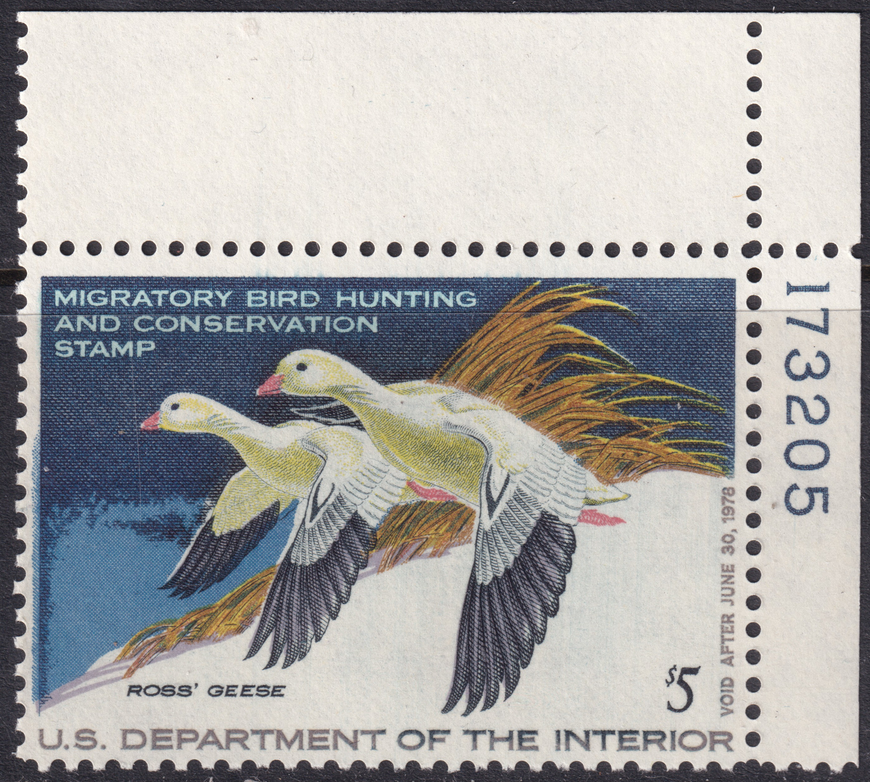 Stamp Picture