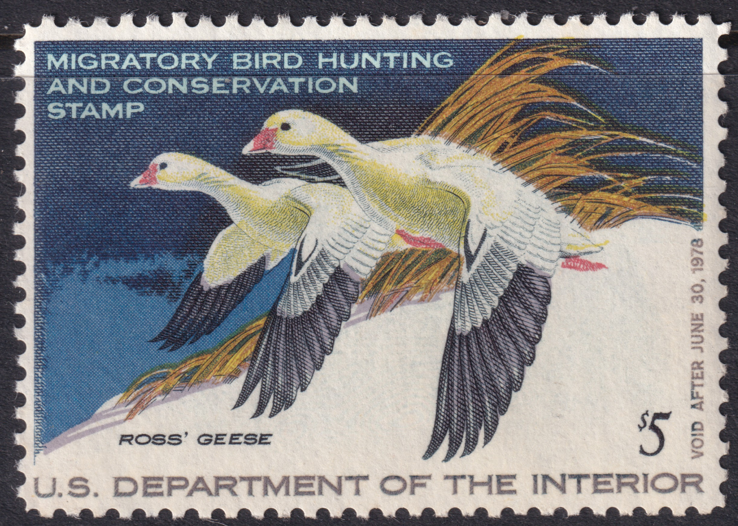 Stamp Picture