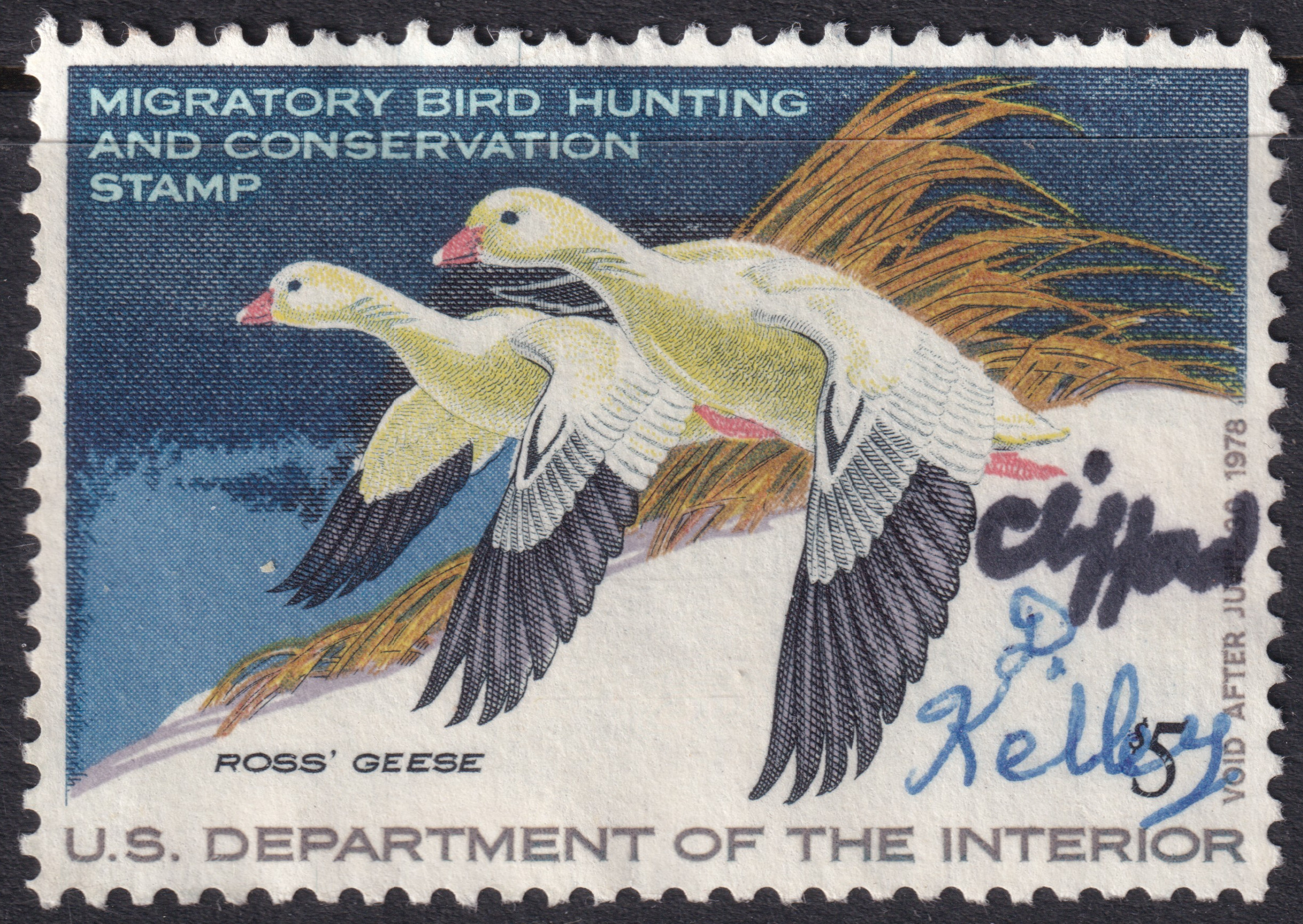 Stamp Picture