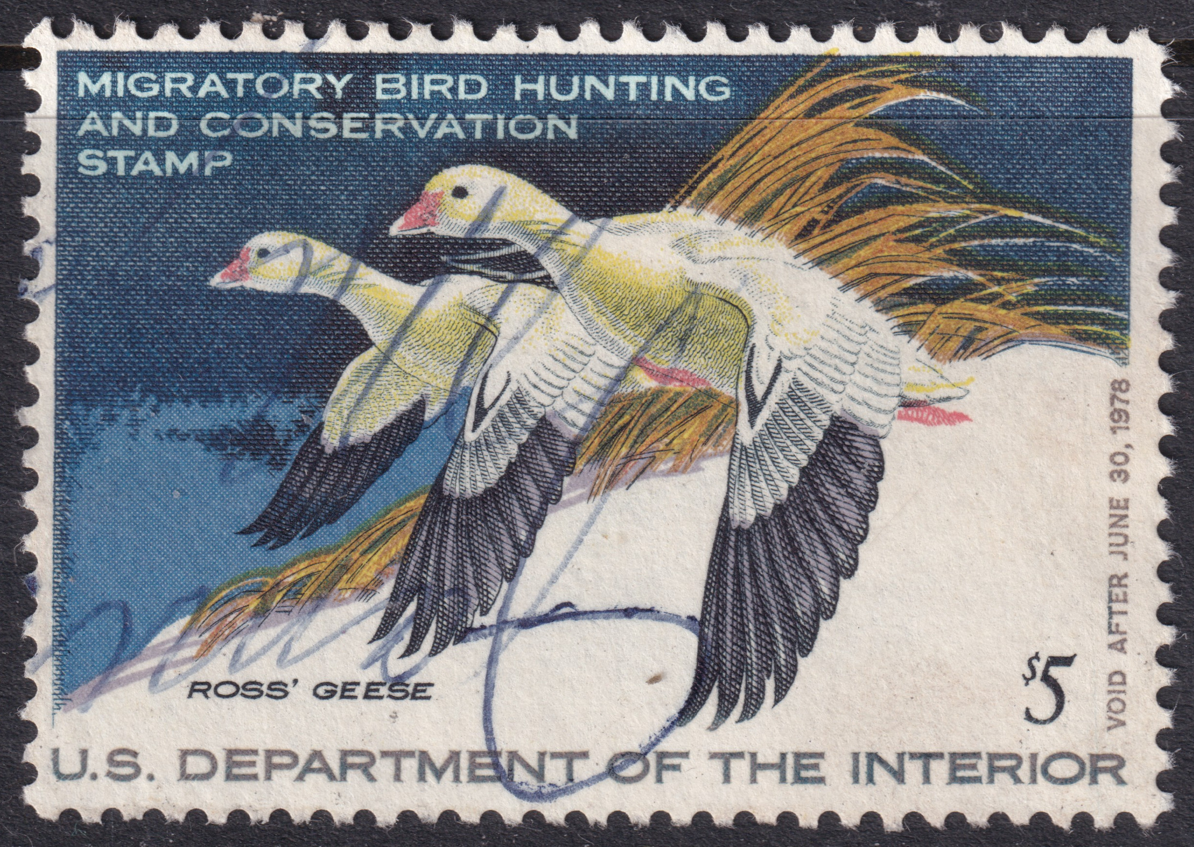 Stamp Picture