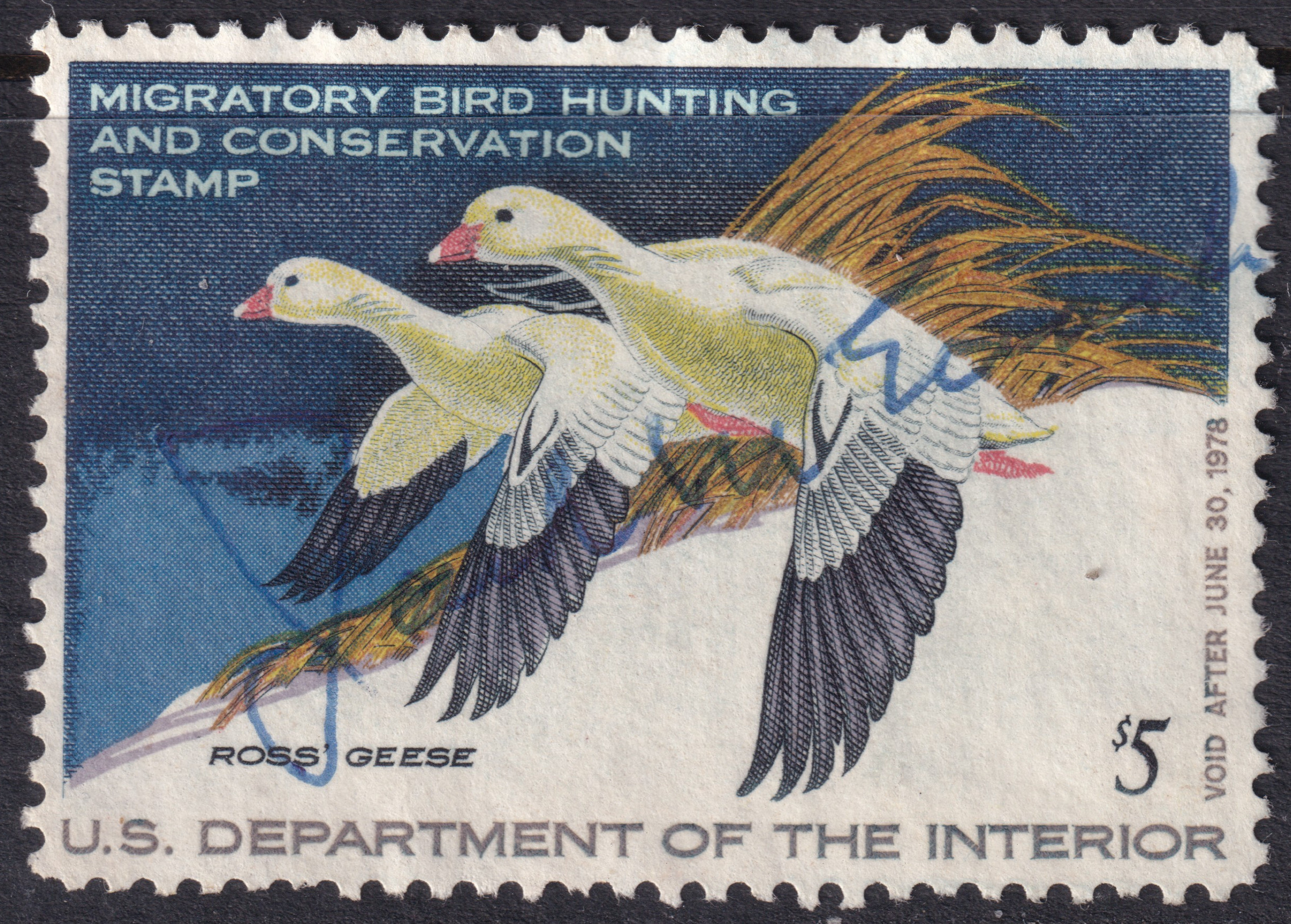 Stamp Picture