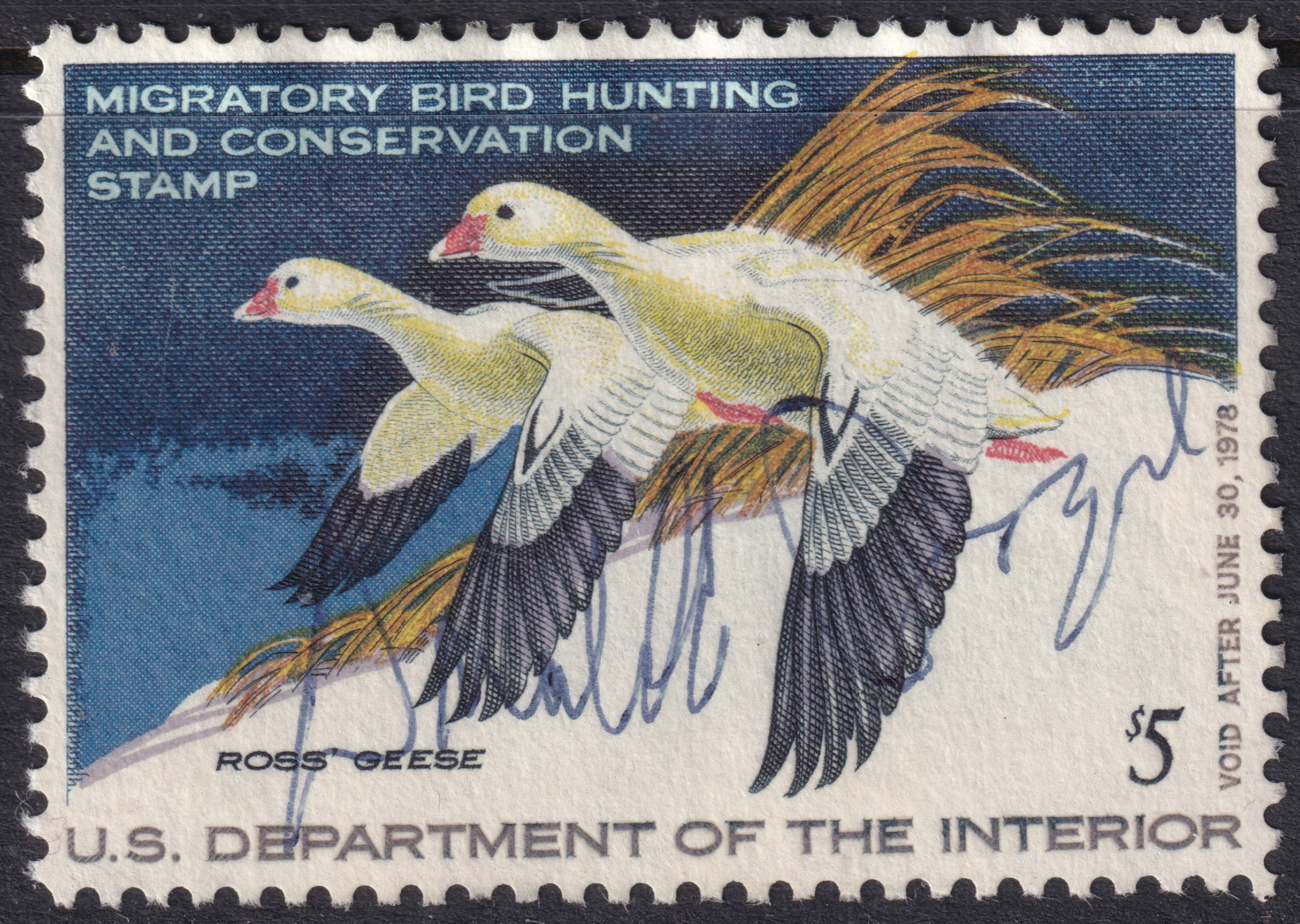 Stamp Picture