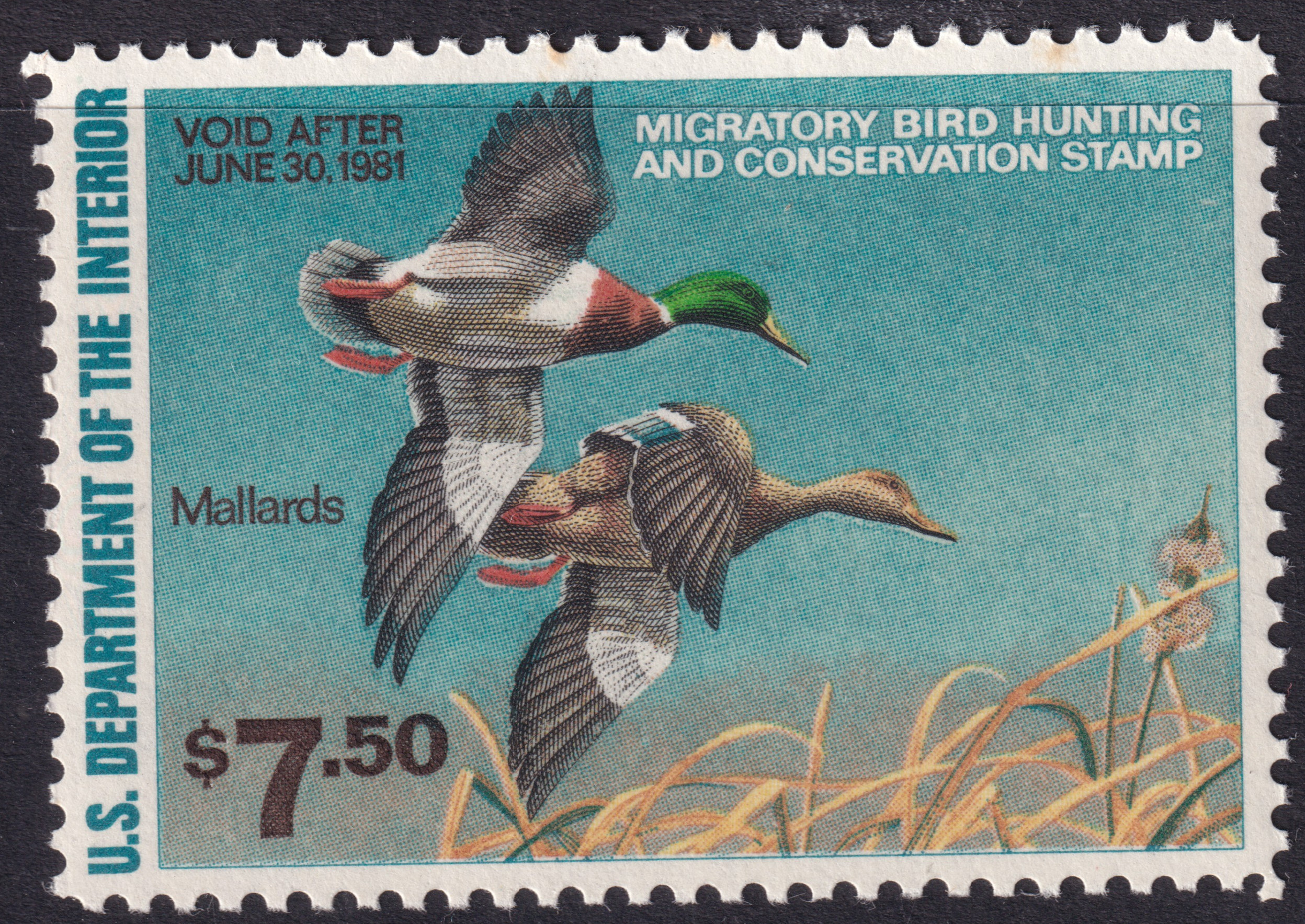 Stamp Picture