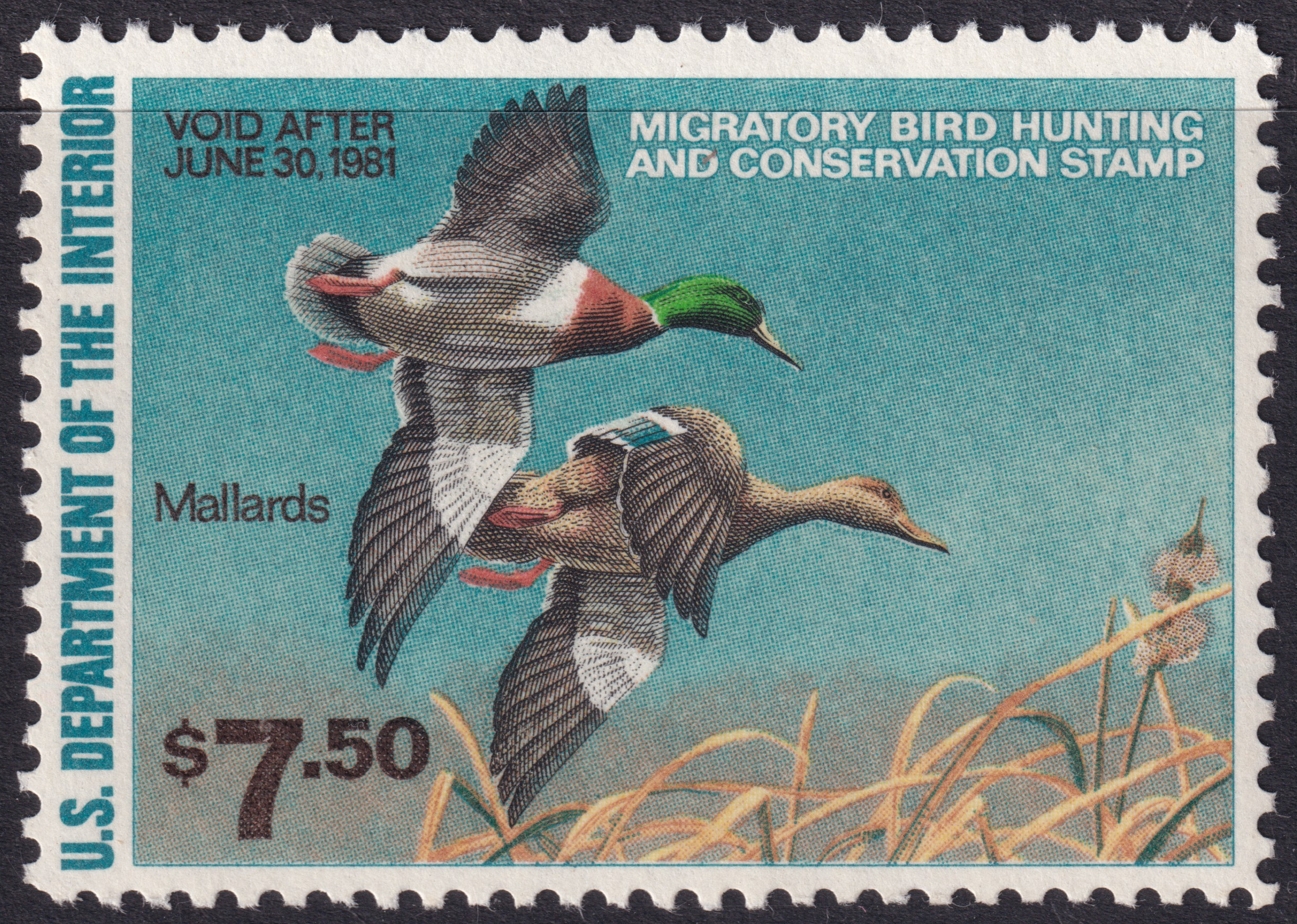 Stamp Picture